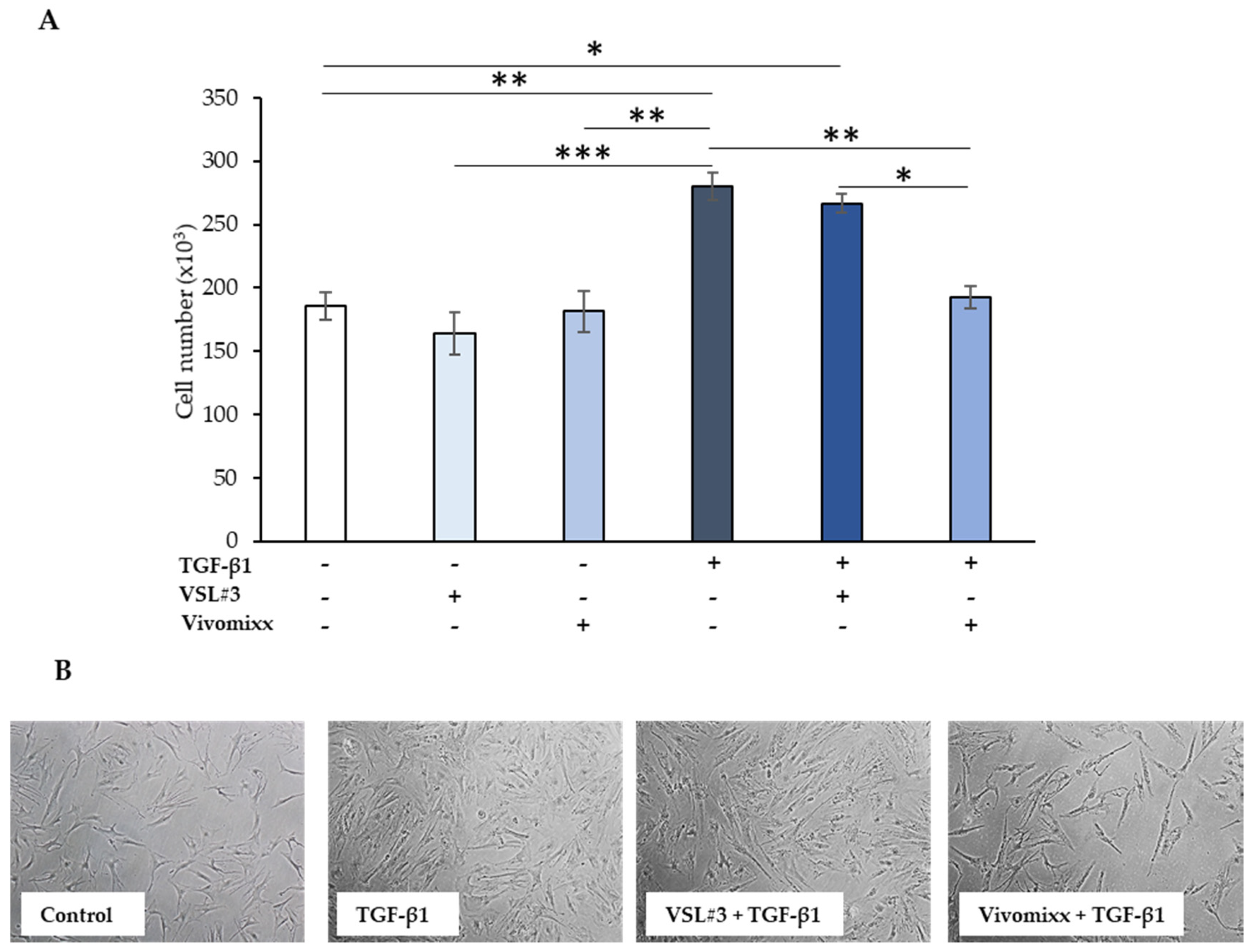 Nutrients 13 00882 g001 Nutrients 13 00882 g001