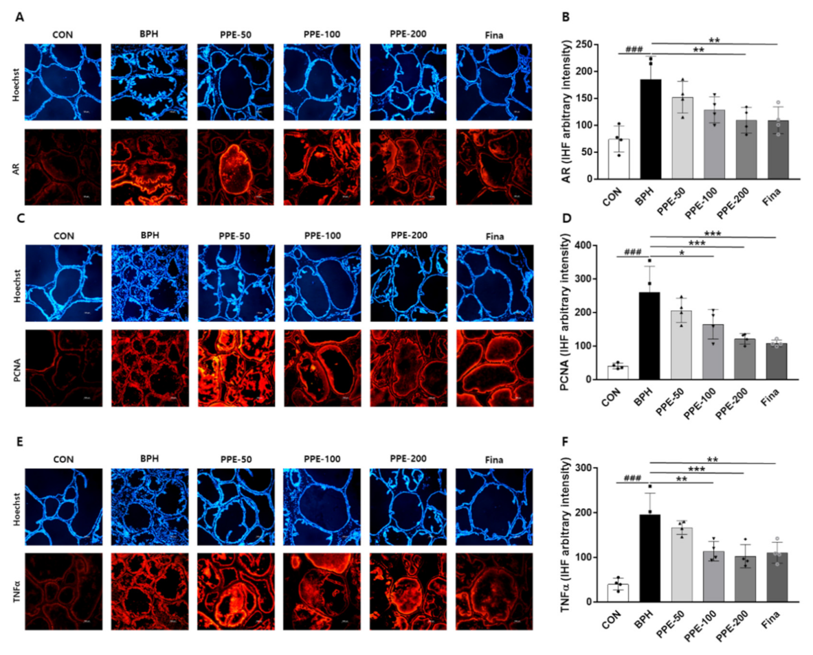 Nutrients 13 00884 g005