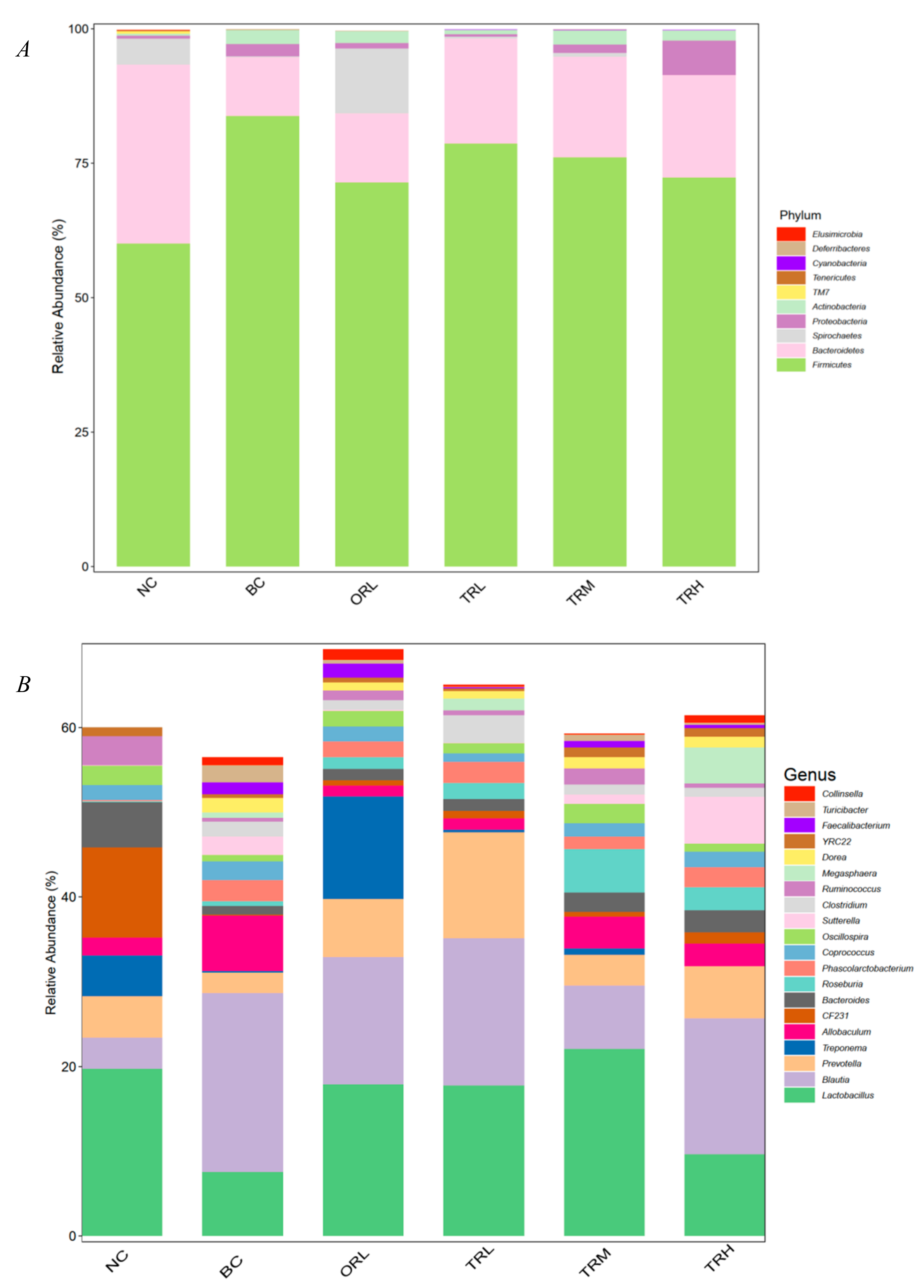 Nutrients 13 00891 g003a Nutrients 13 00891 g003a