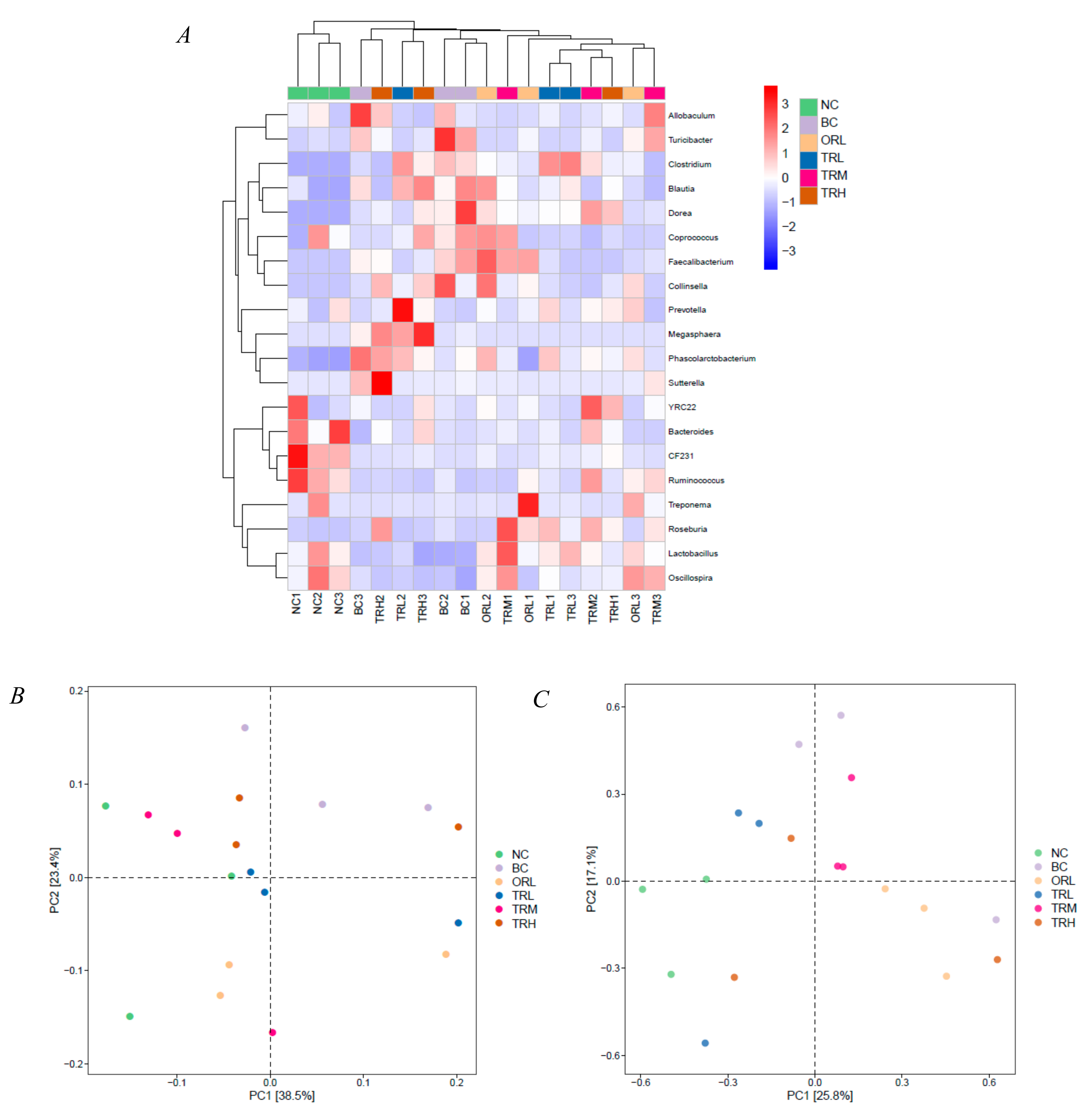 Nutrients 13 00891 g004 Nutrients 13 00891 g004