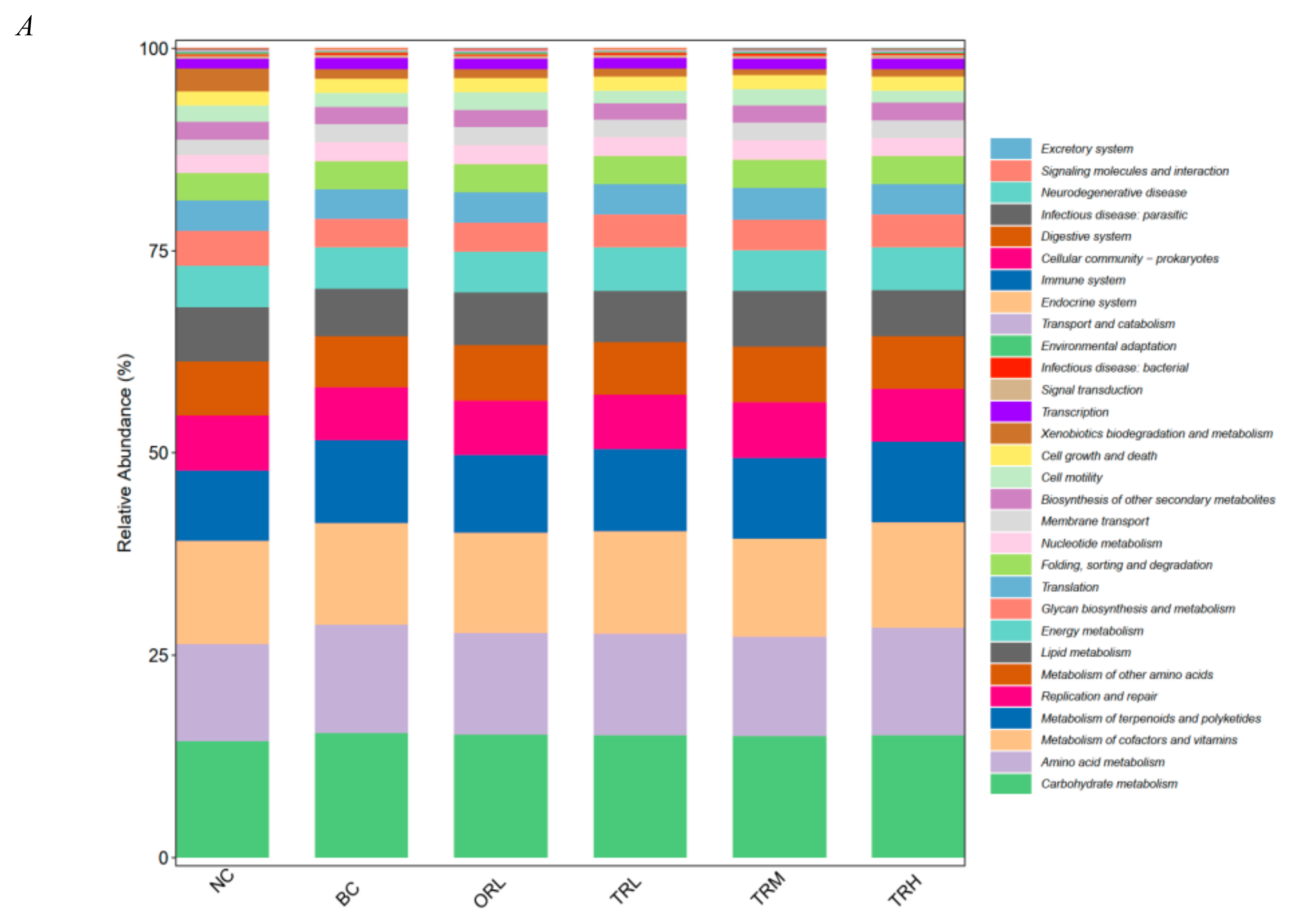 Nutrients 13 00891 g005a Nutrients 13 00891 g005a
