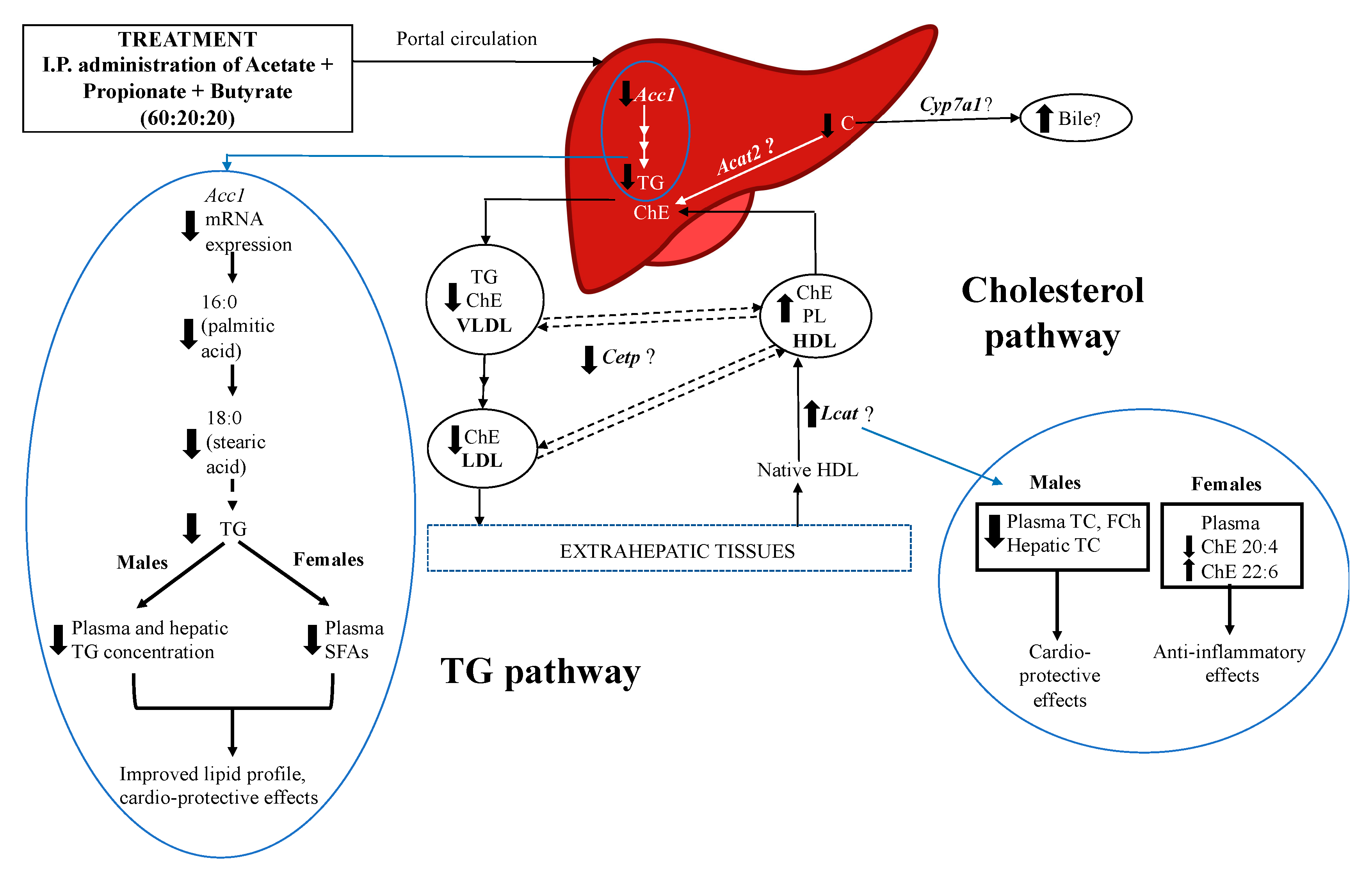 Nutrients 13 00892 g006