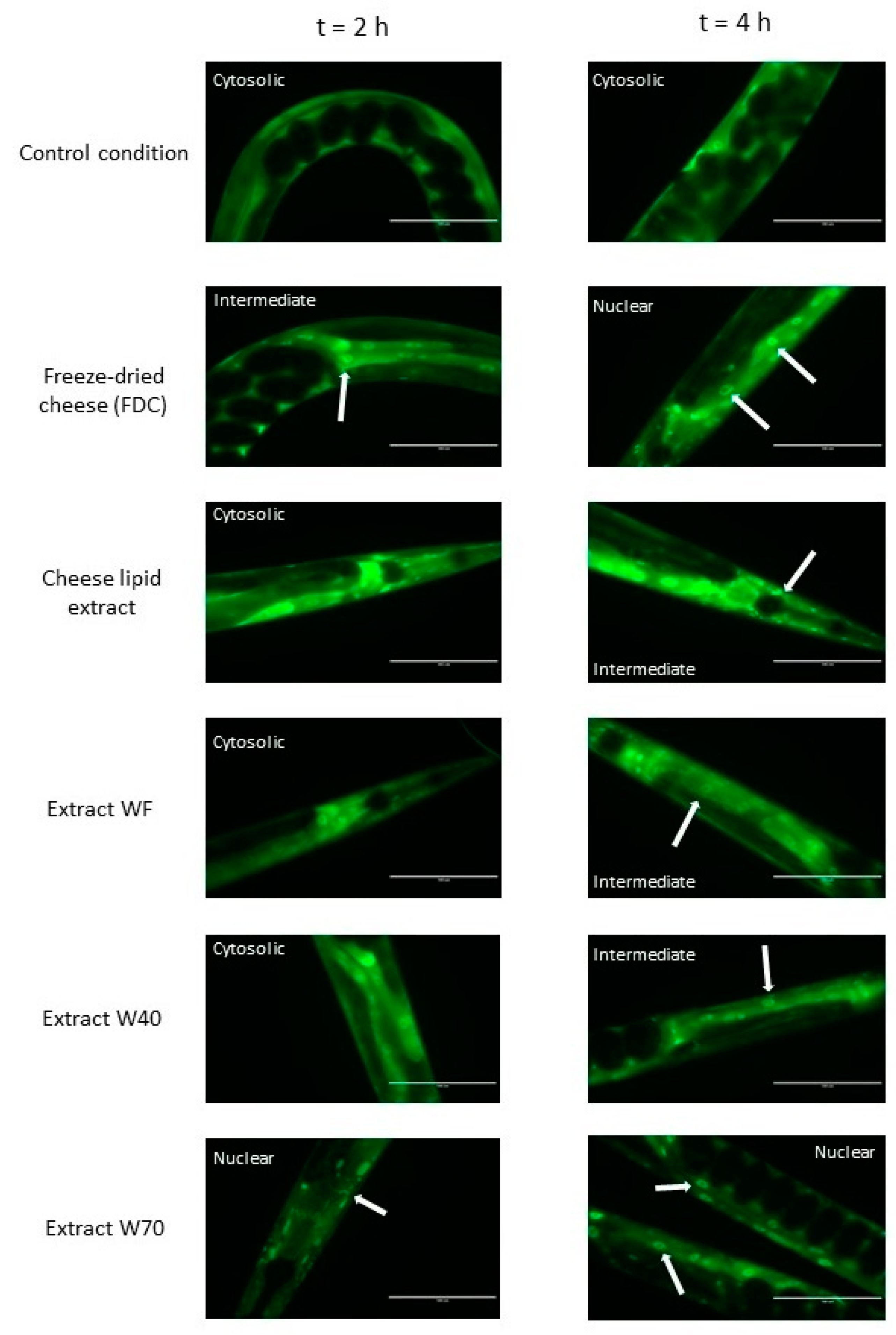 Nutrients 13 00897 g005