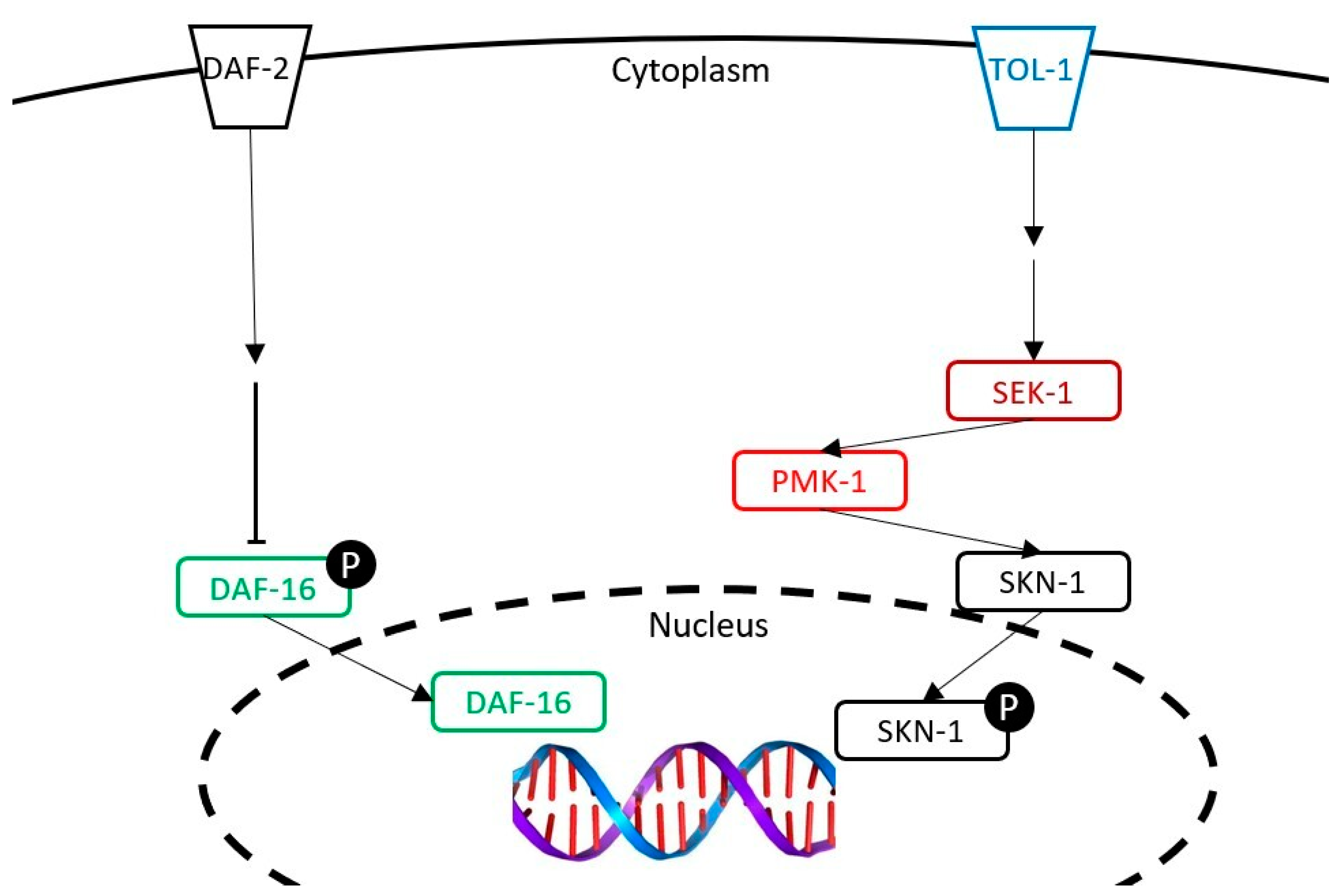 Nutrients 13 00897 g008