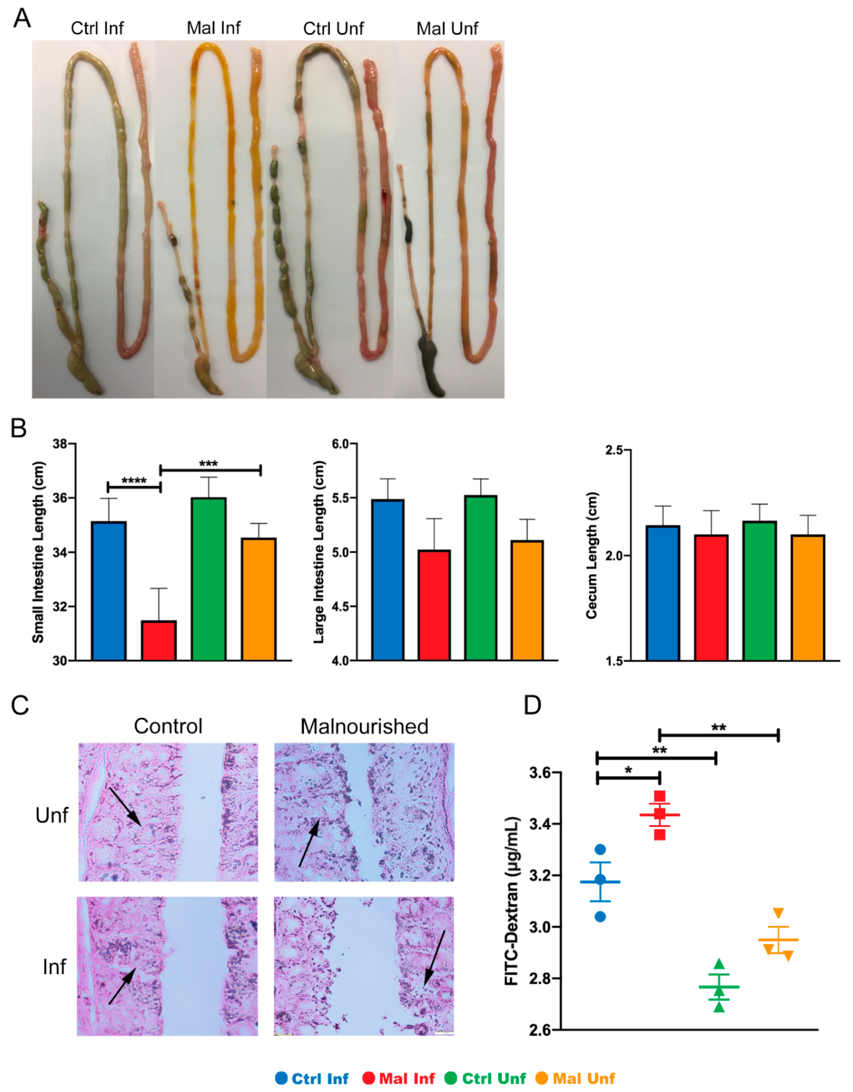 Nutrients 13 00913 g002