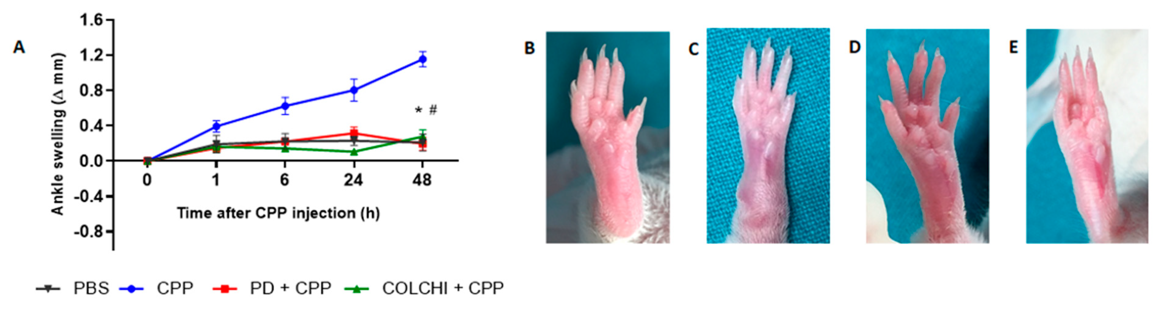 Nutrients 13 00929 g002