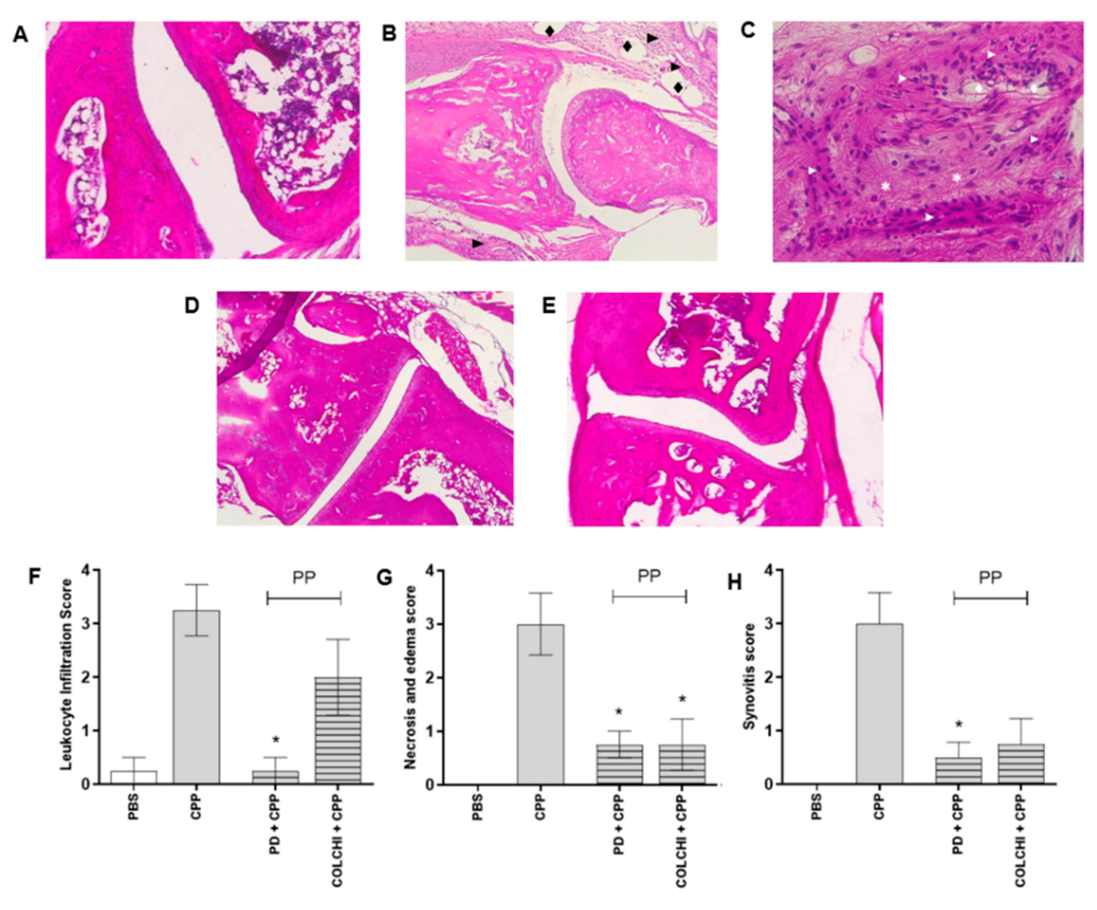 Nutrients 13 00929 g003