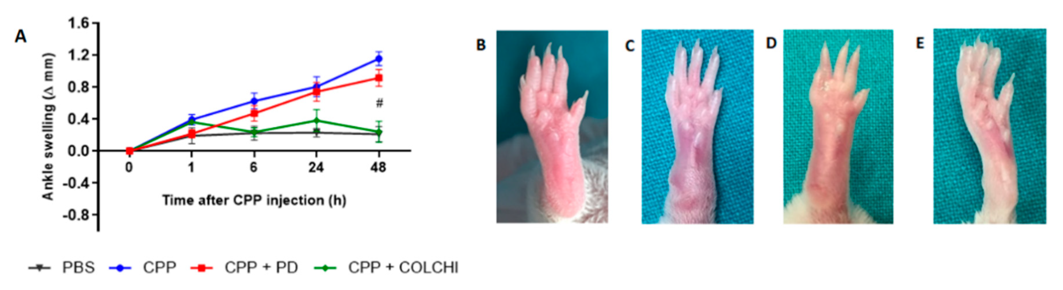 Nutrients 13 00929 g005
