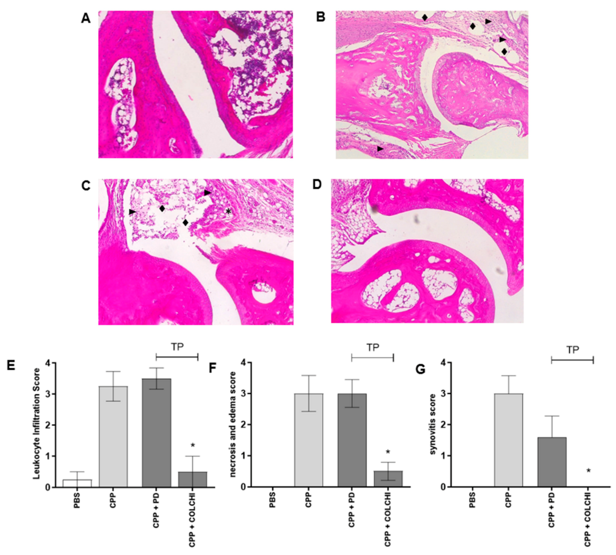 Nutrients 13 00929 g006