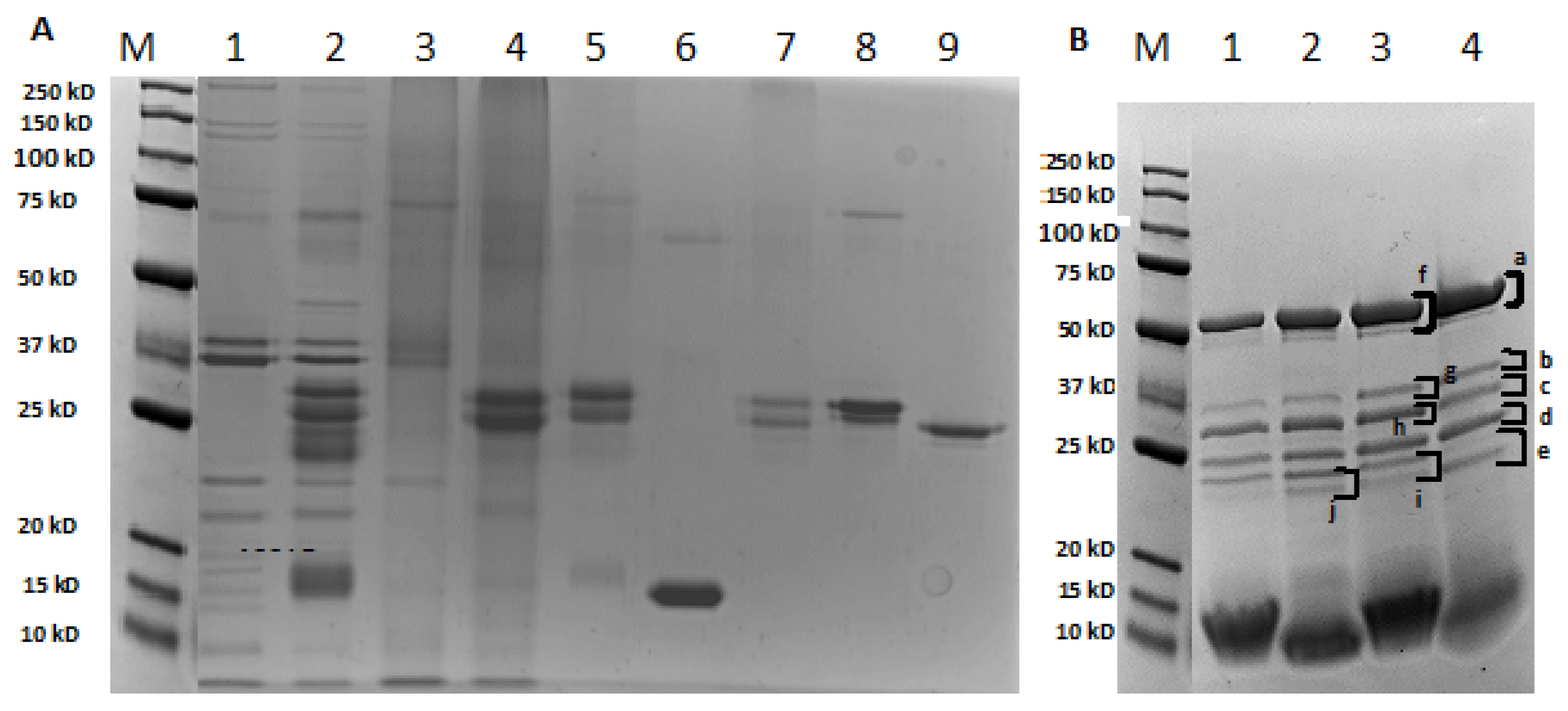 Nutrients 13 00931 g002