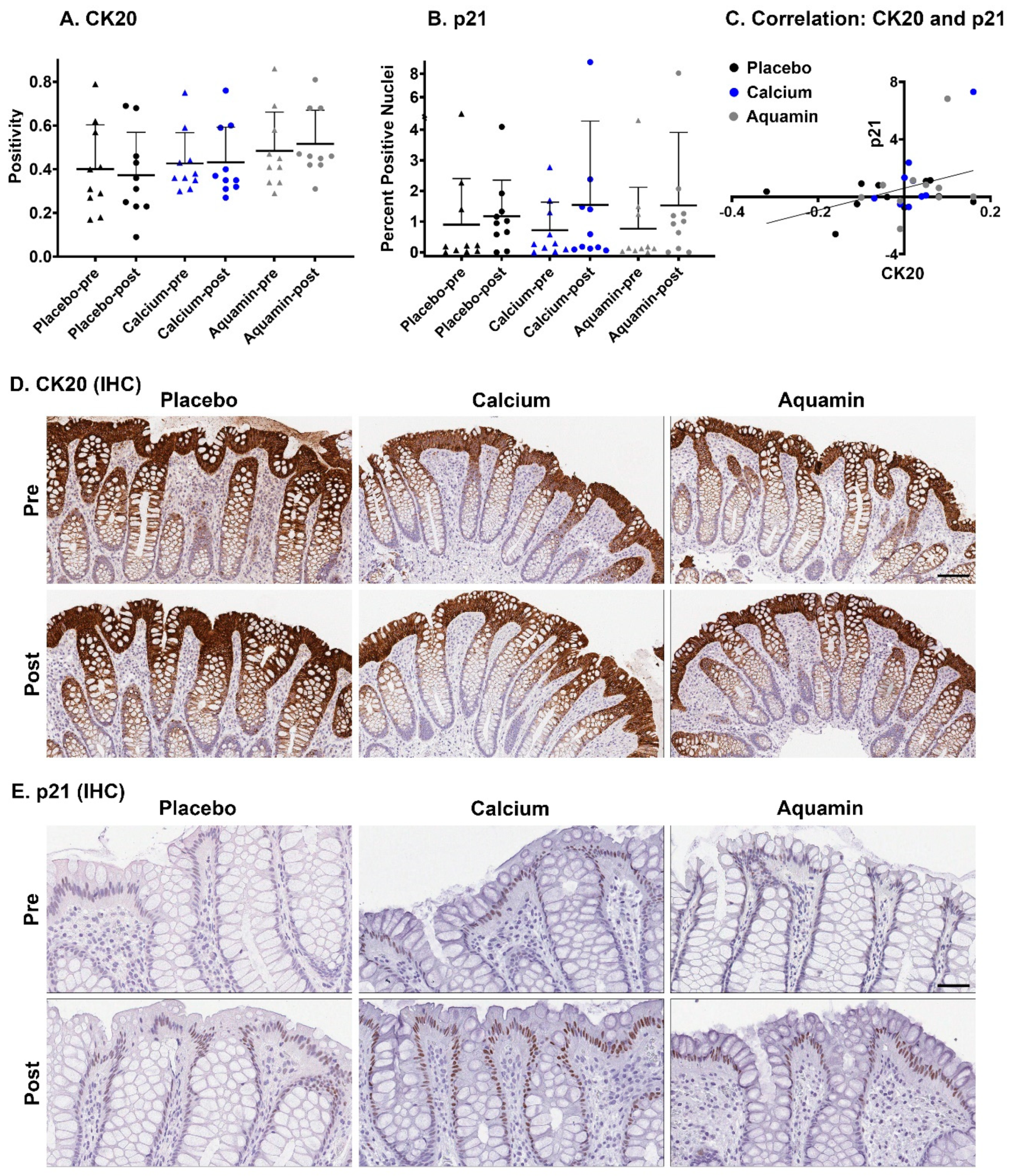 Nutrients 13 00939 g002