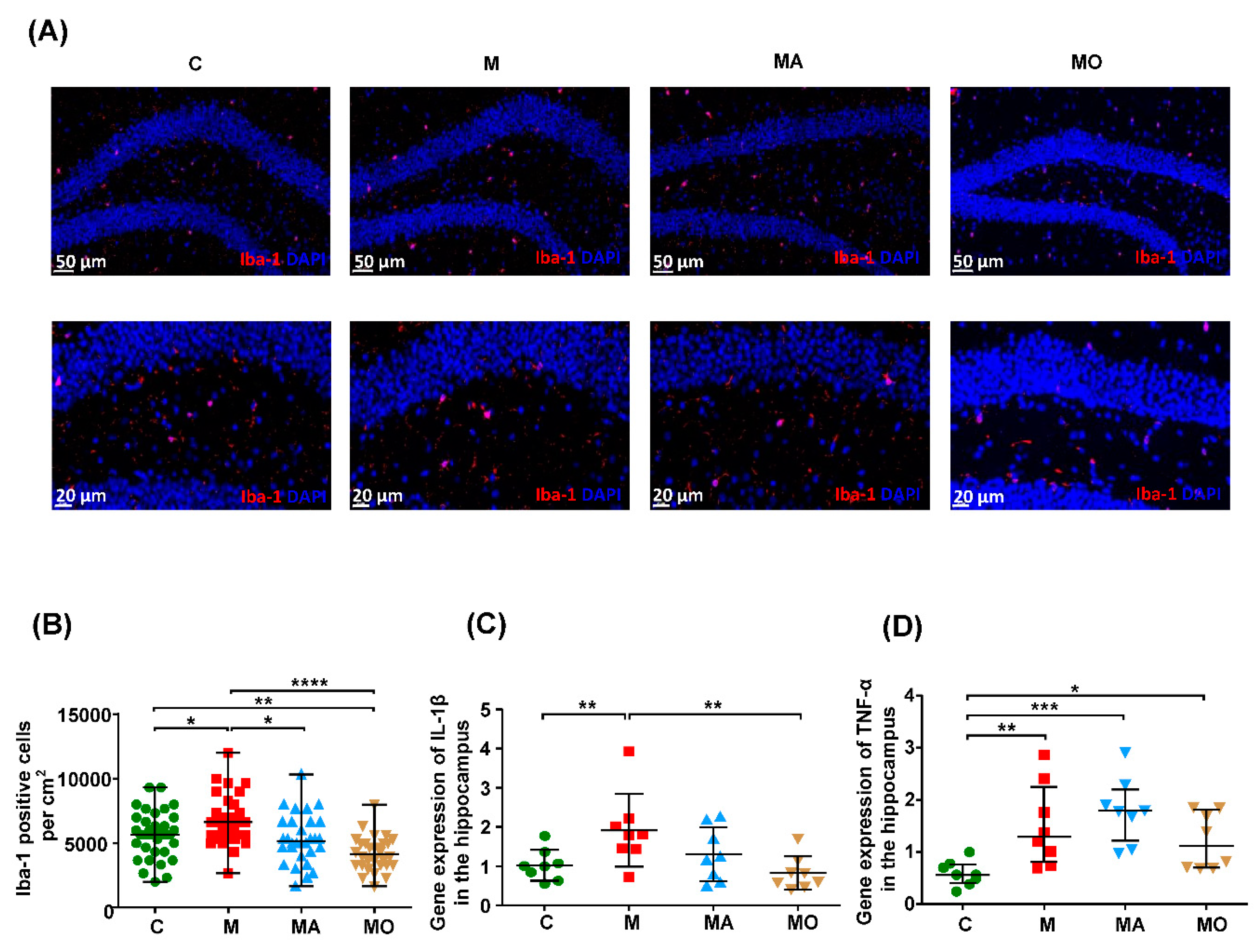 Nutrients 13 00940 g003