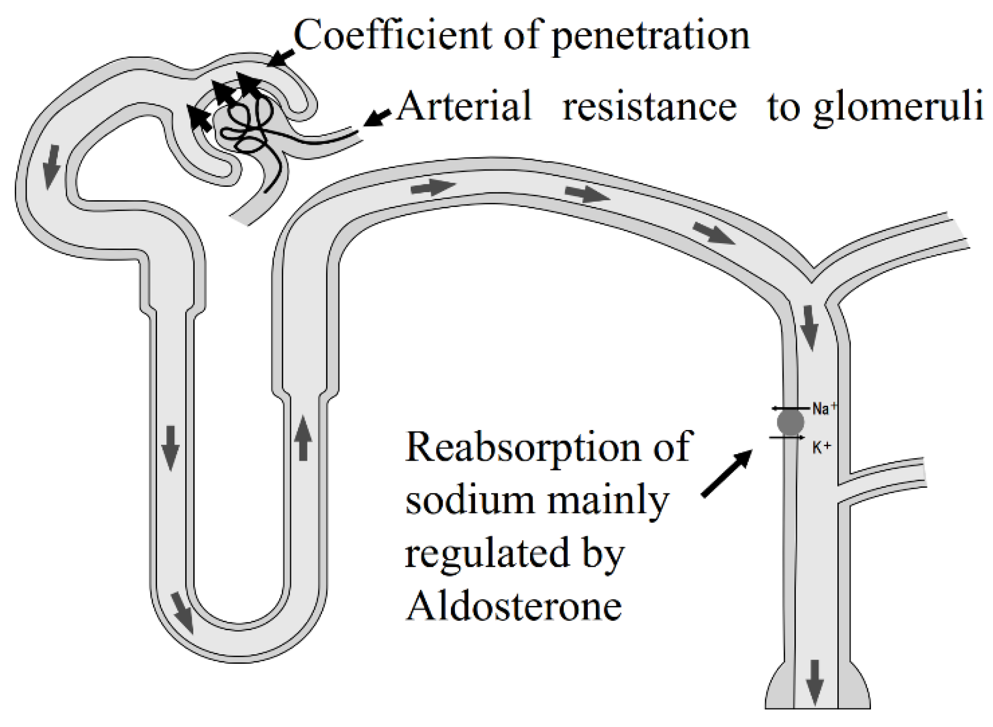 Nutrients 13 00951 g003
