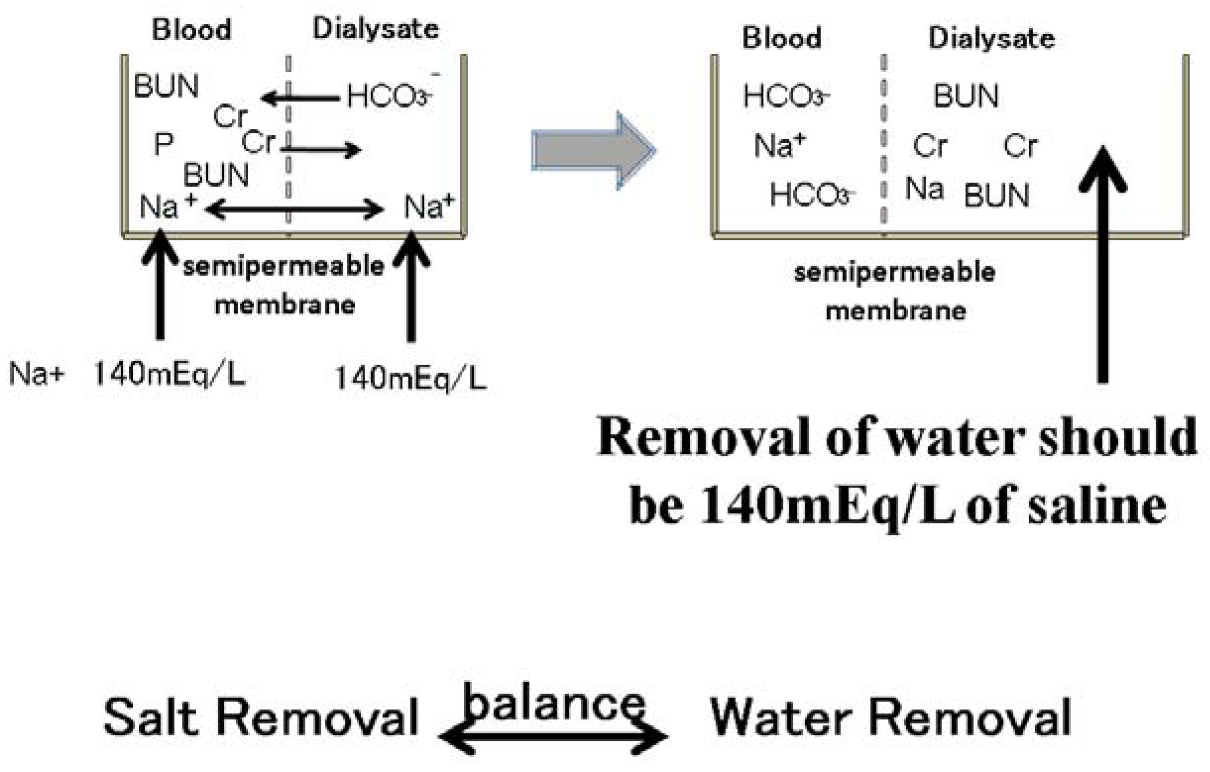 Nutrients 13 00951 g007