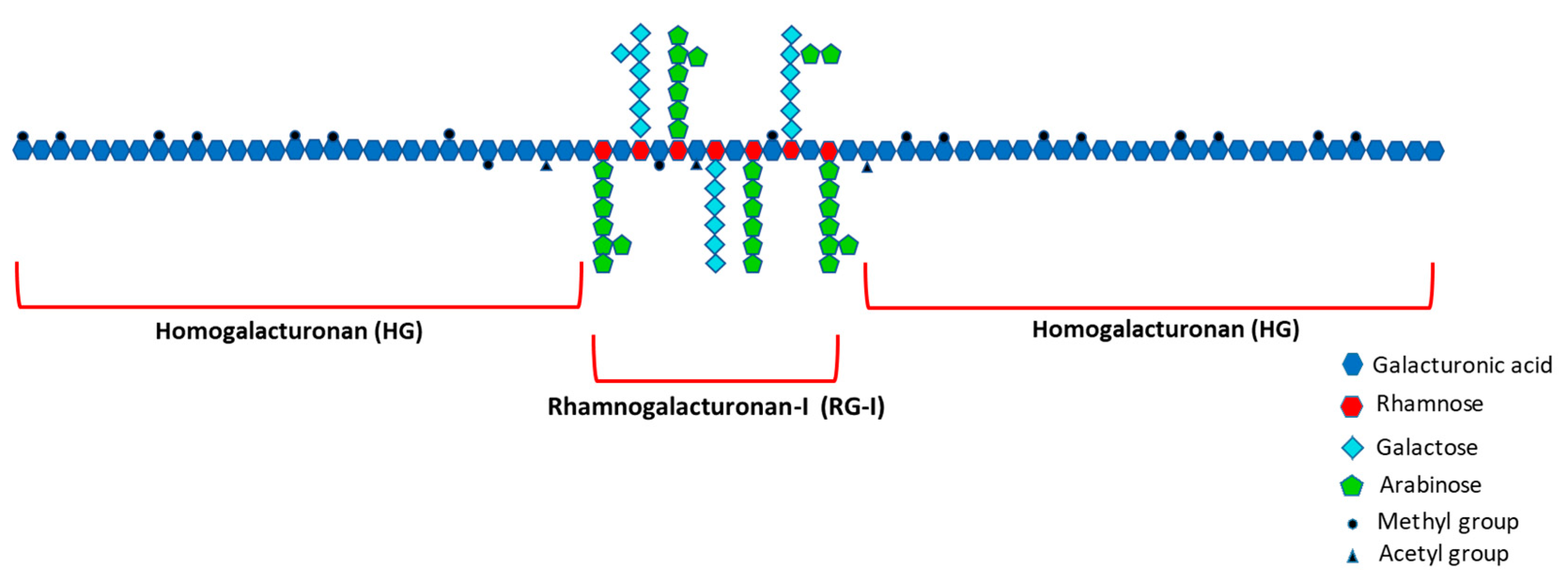 Nutrients 13 00963 g003