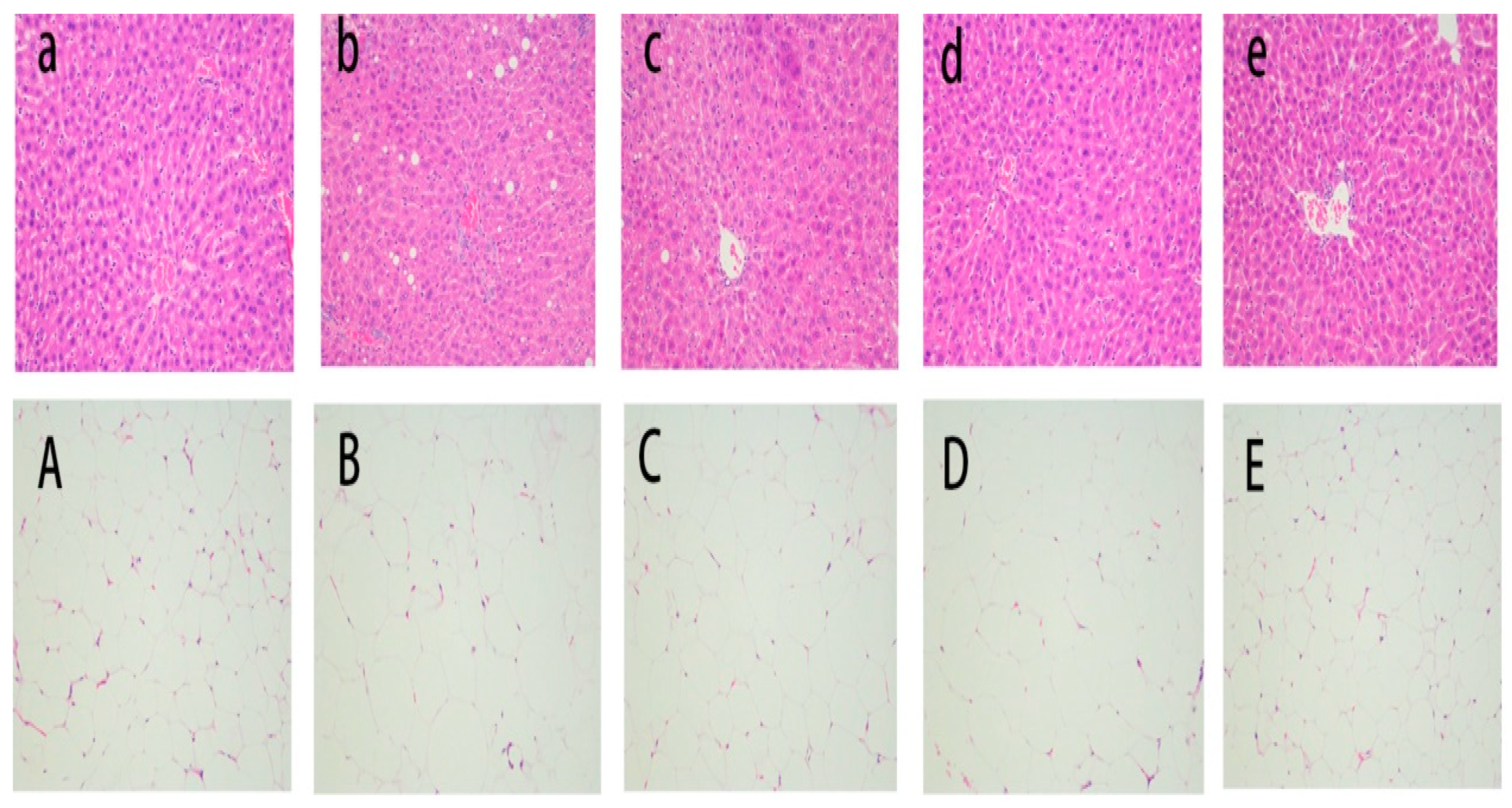 Nutrients 13 00971 g002