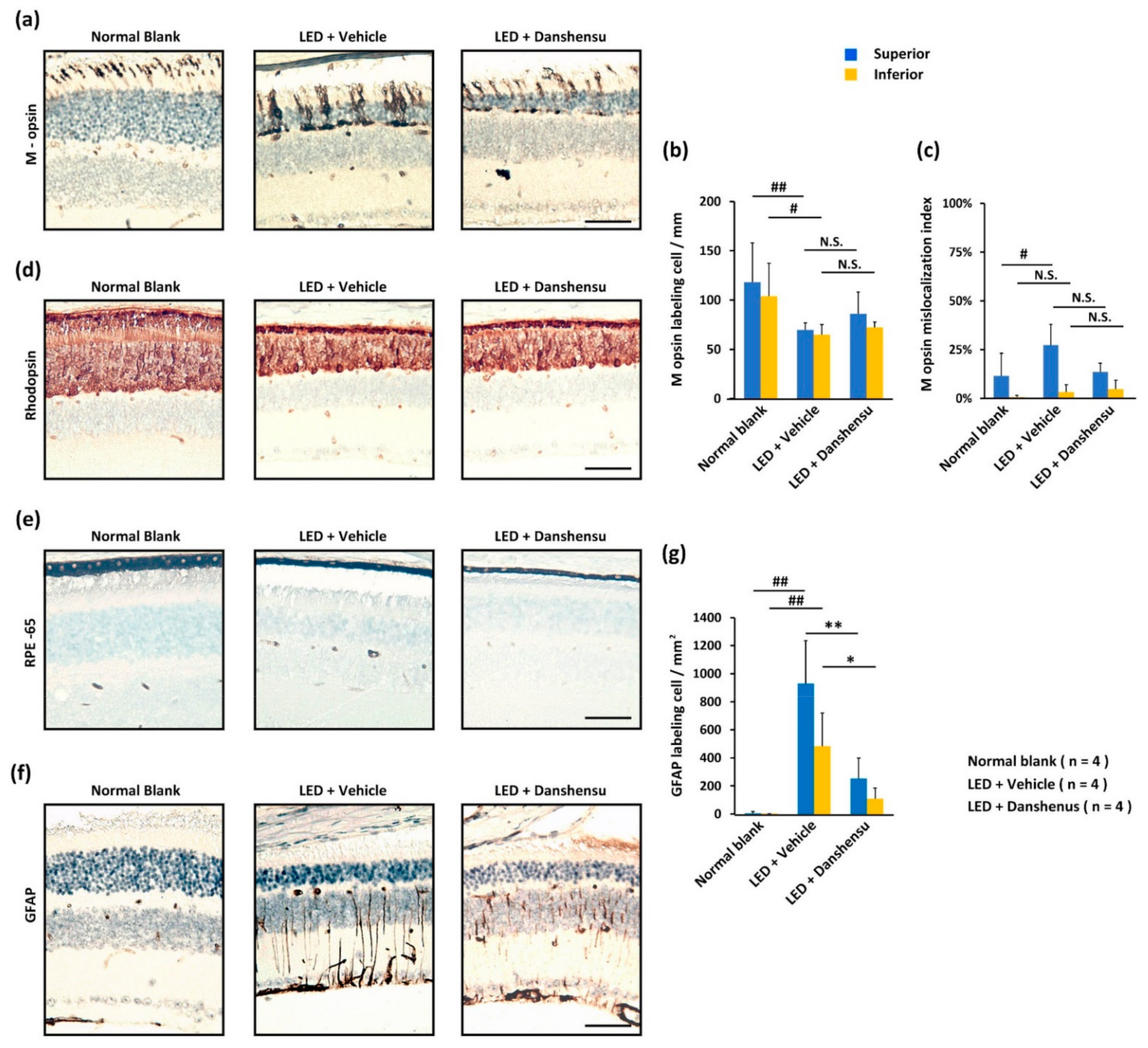 Nutrients 13 00978 g004