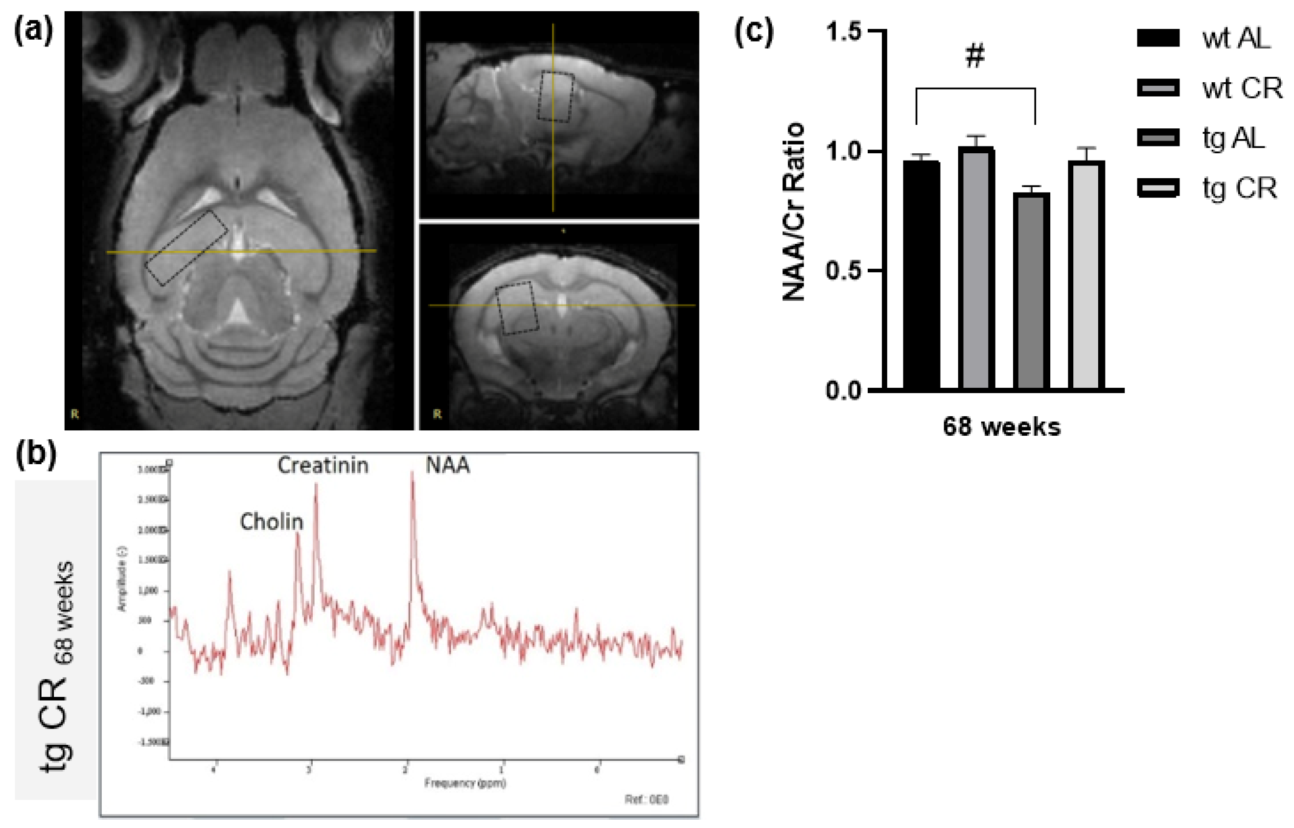 Nutrients 13 00985 g001
