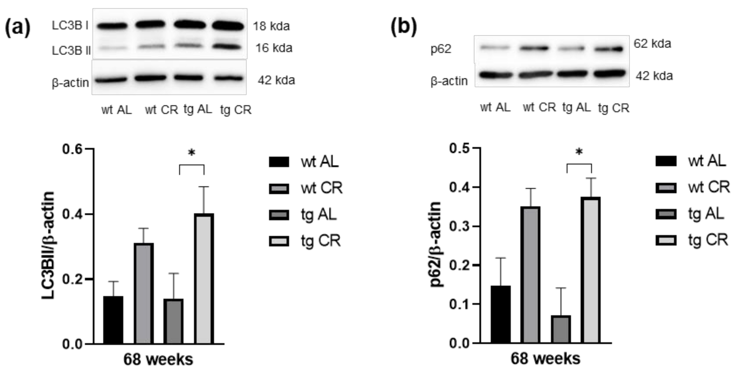 Nutrients 13 00985 g004