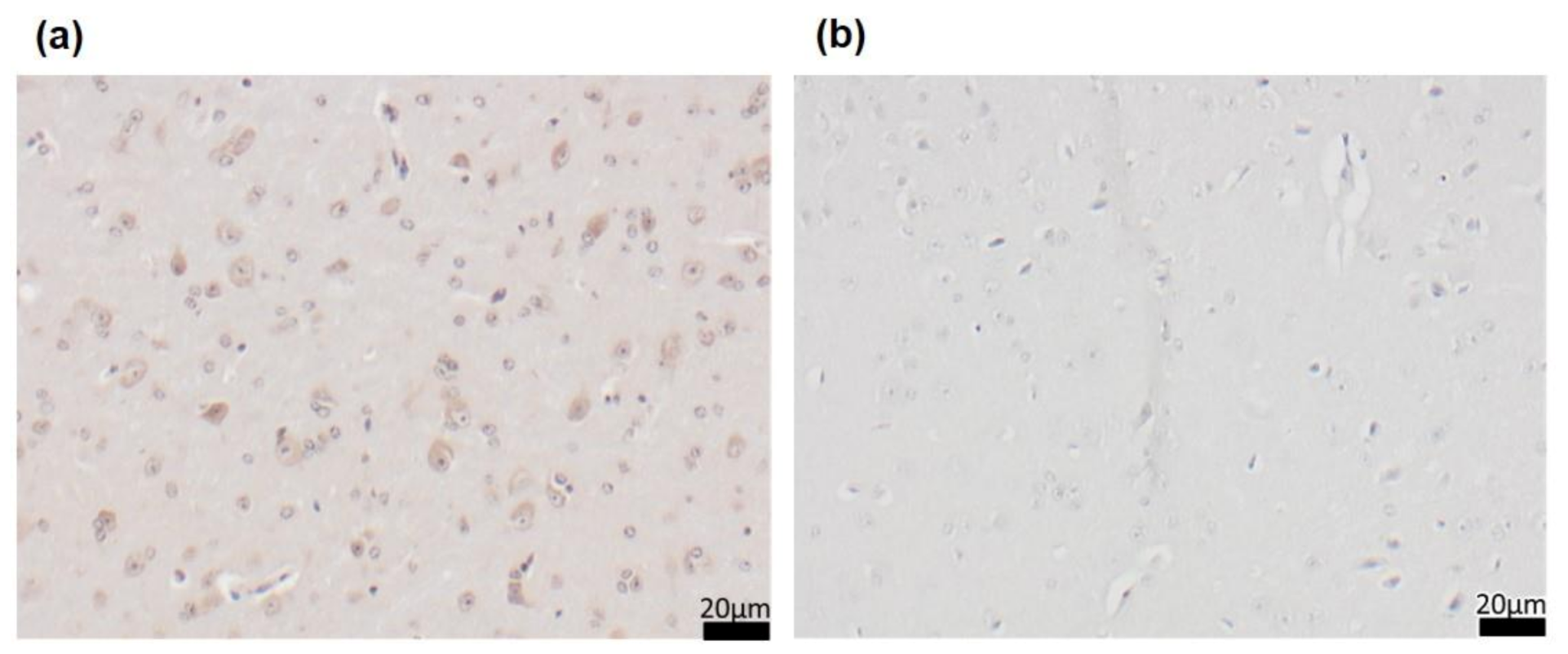 Nutrients 13 00985 g0a1