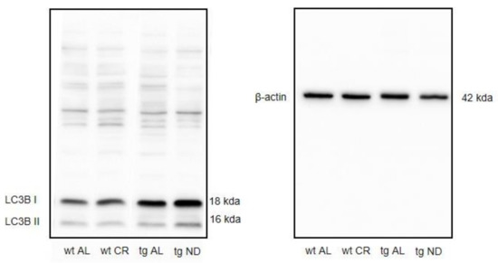 Nutrients 13 00985 g0a2