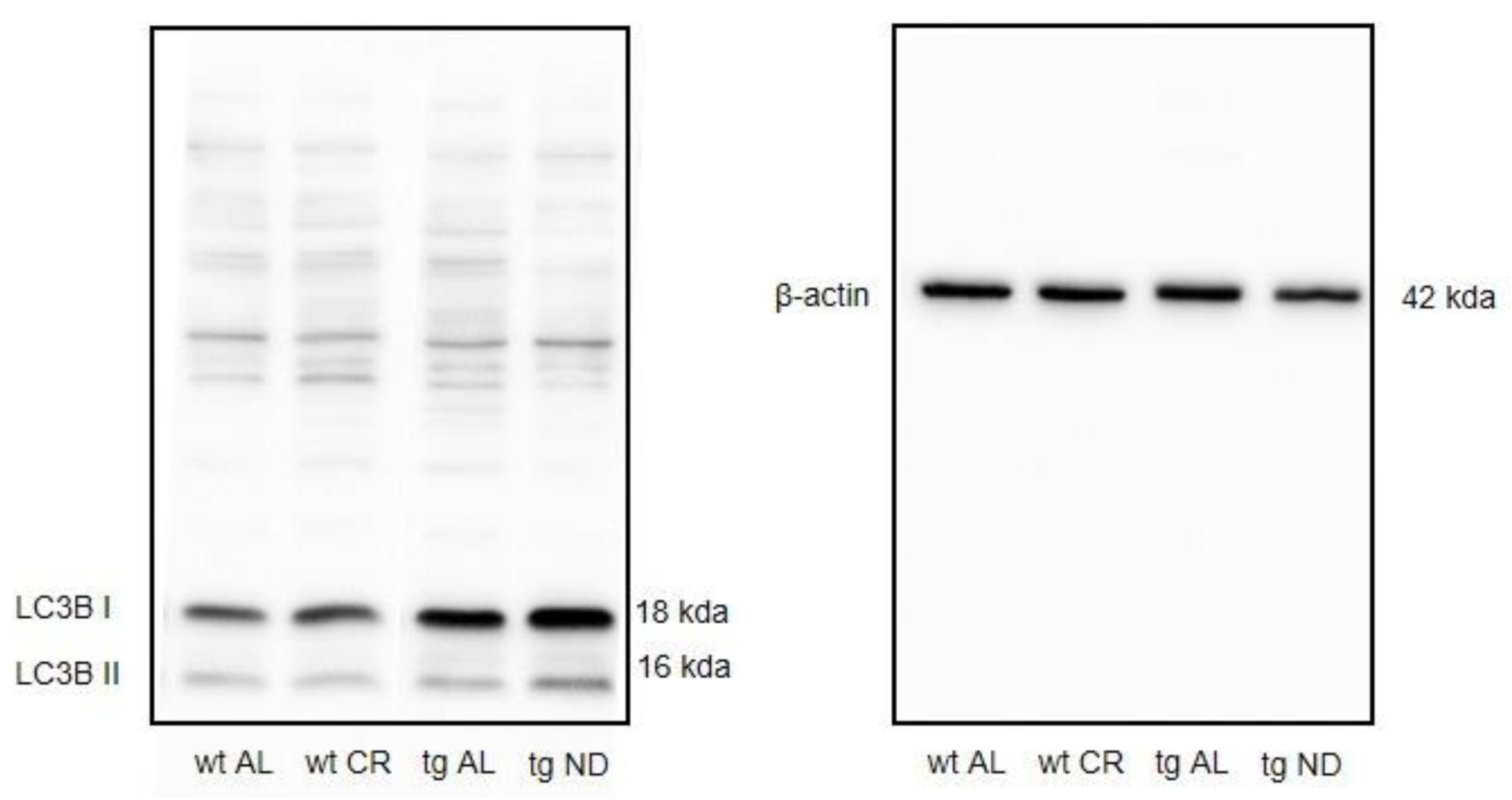 Nutrients 13 00985 g0a2