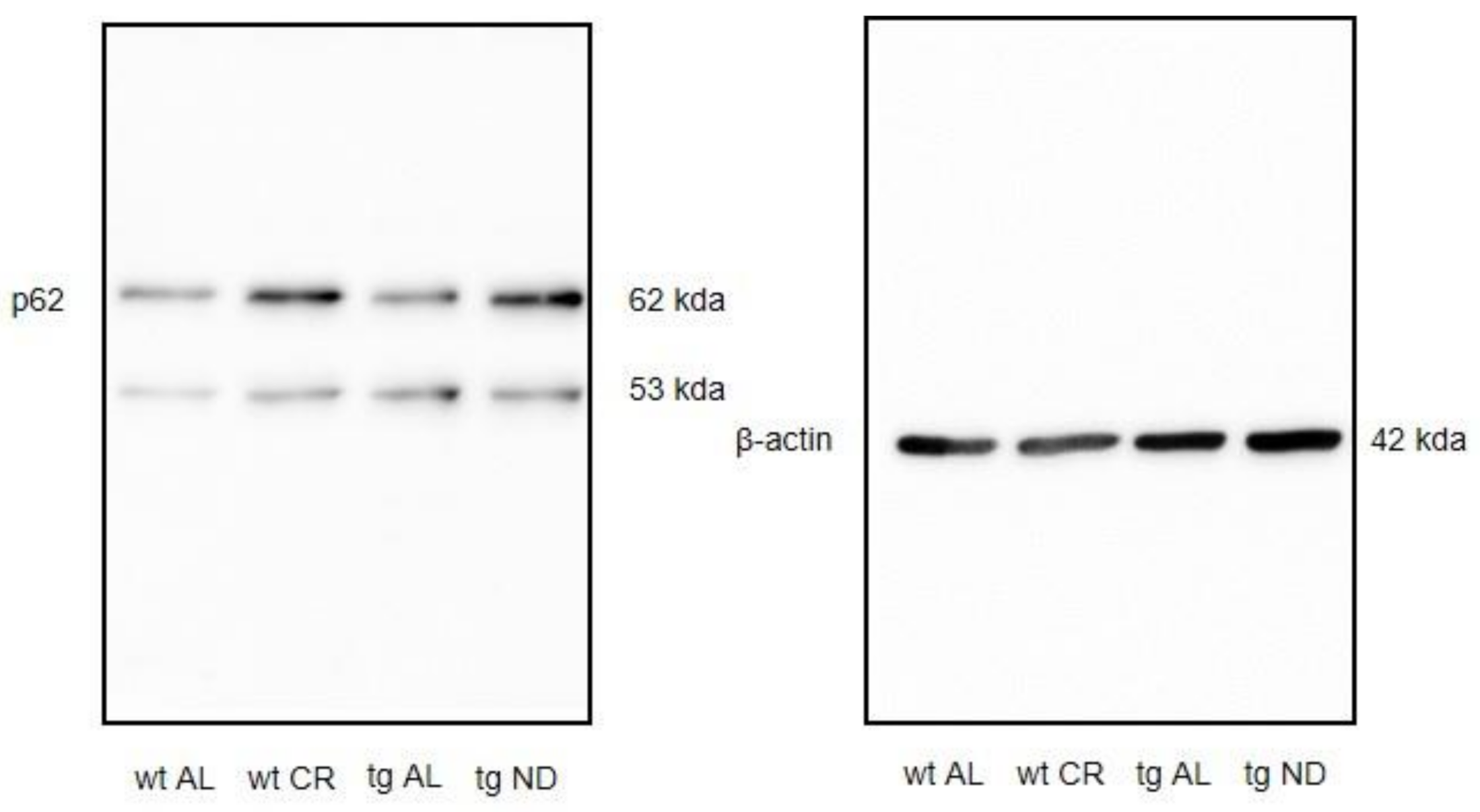 Nutrients 13 00985 g0a3