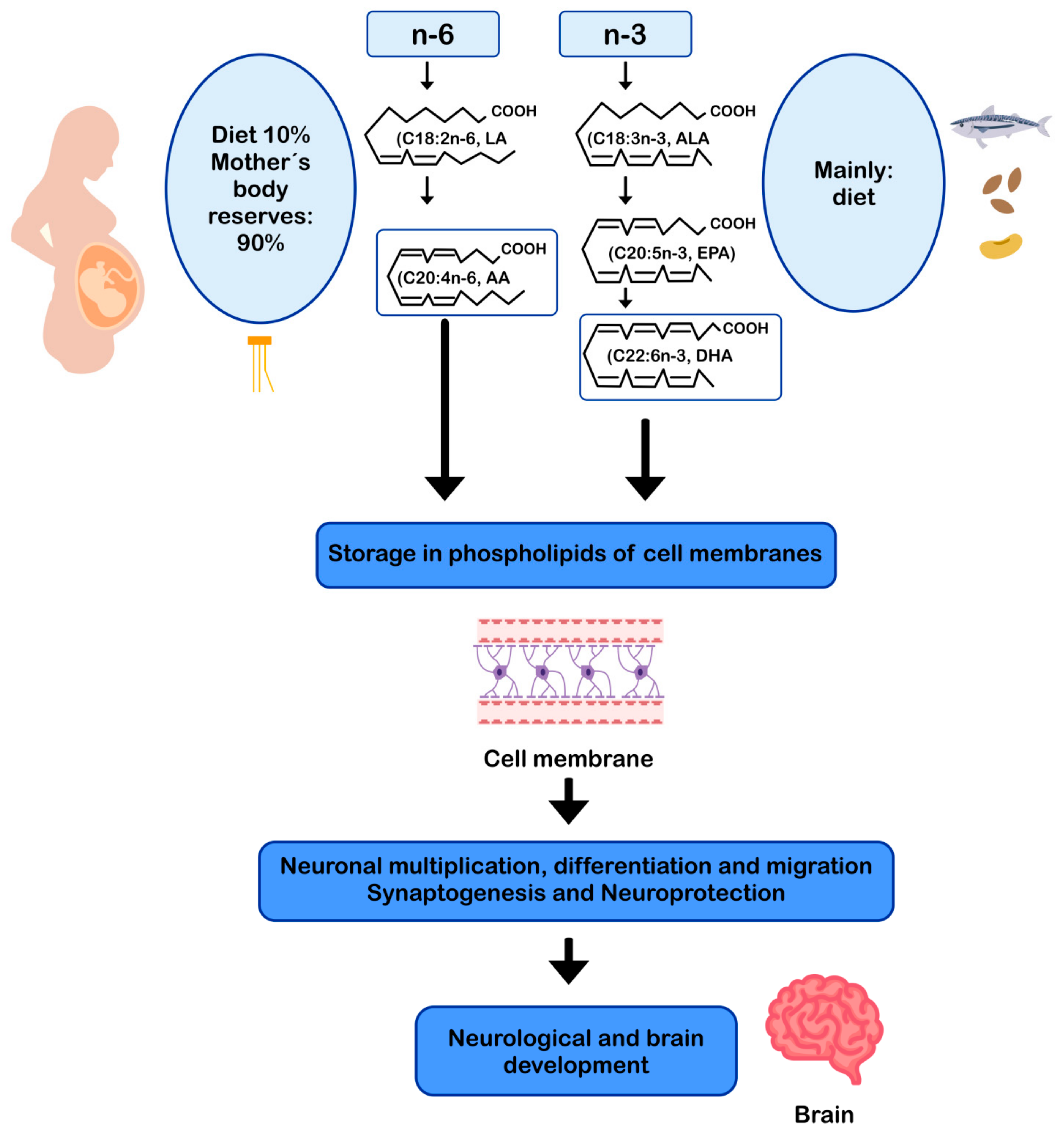 Nutrients 13 00986 g002