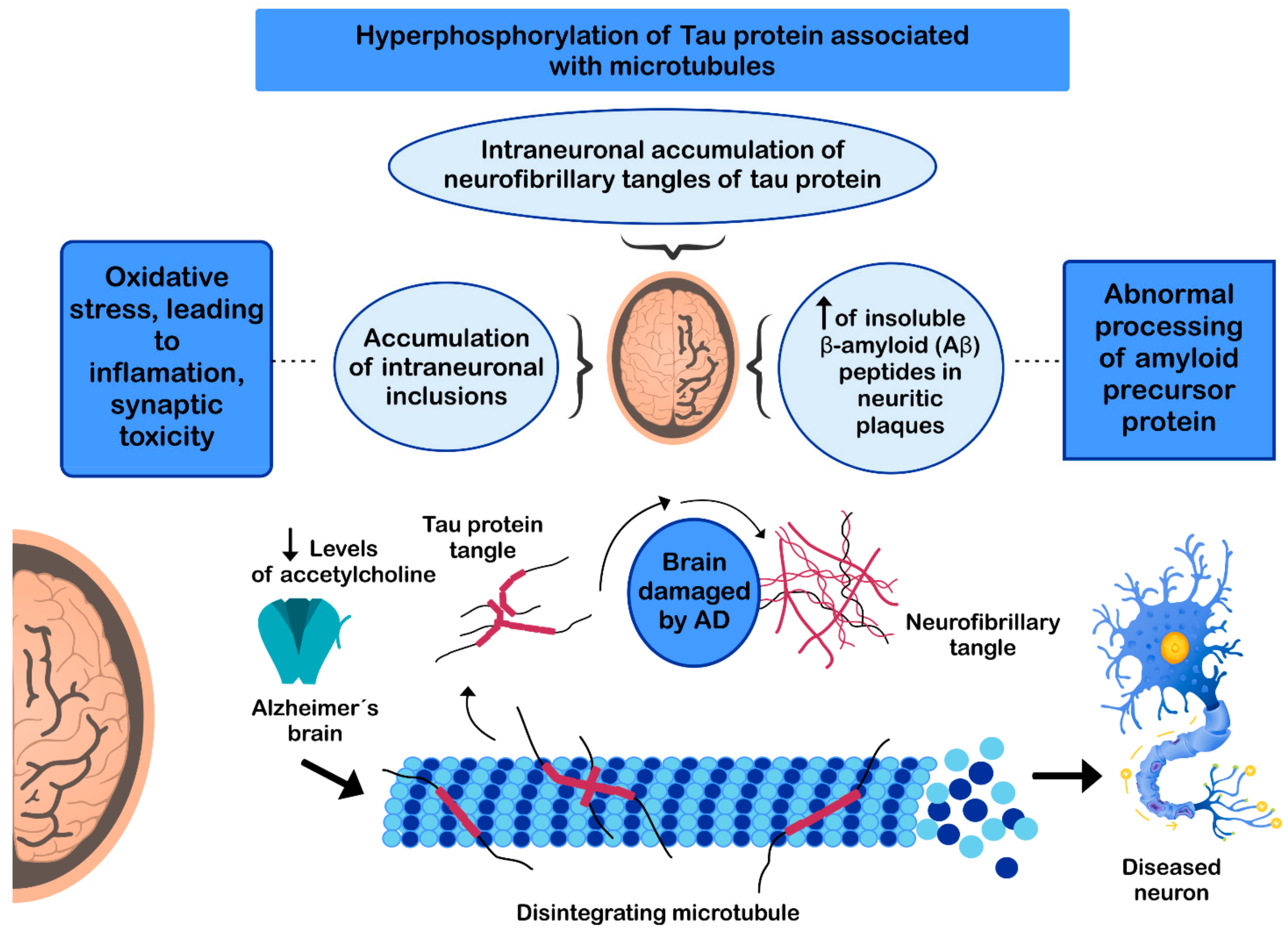 Nutrients 13 00986 g003