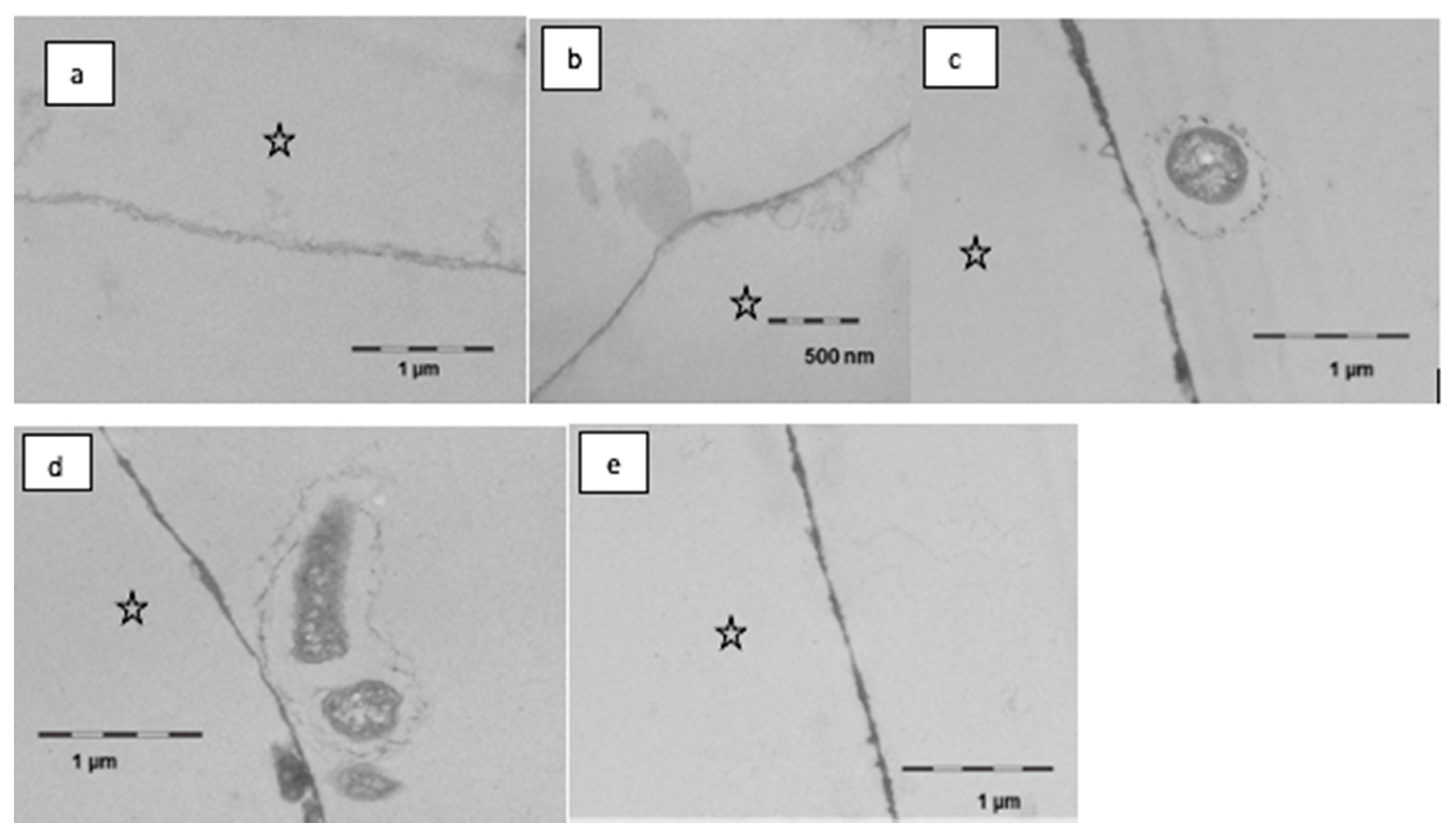 Nutrients 13 00989 g007