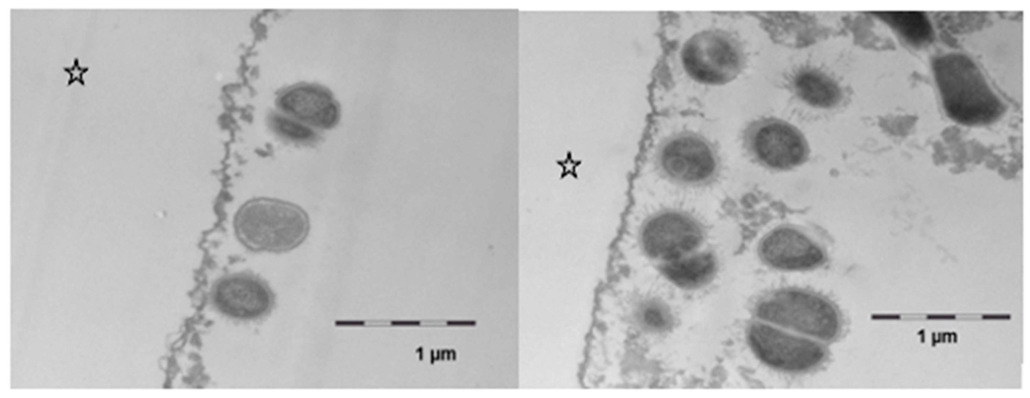 Nutrients 13 00989 g008