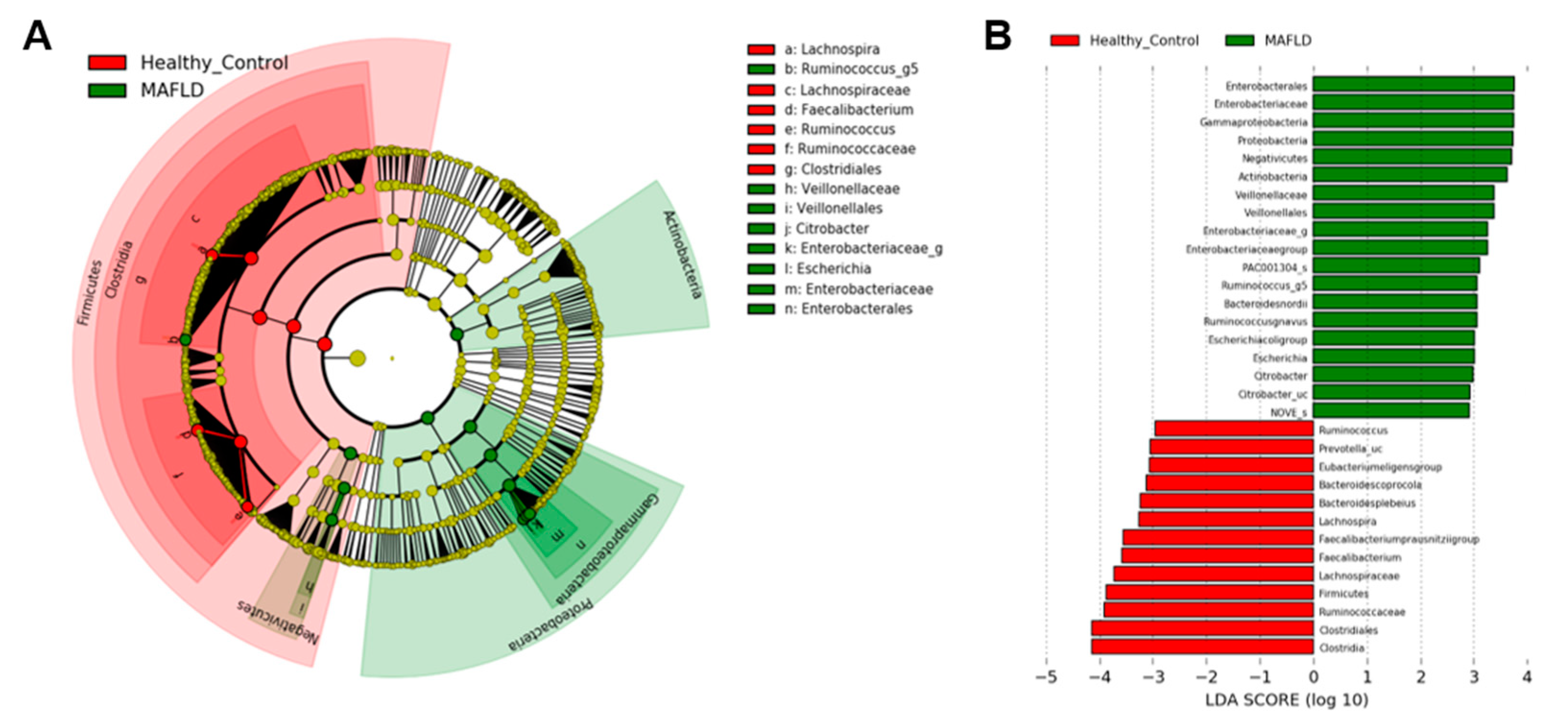 Nutrients 13 01013 g003 Nutrients 13 01013 g003