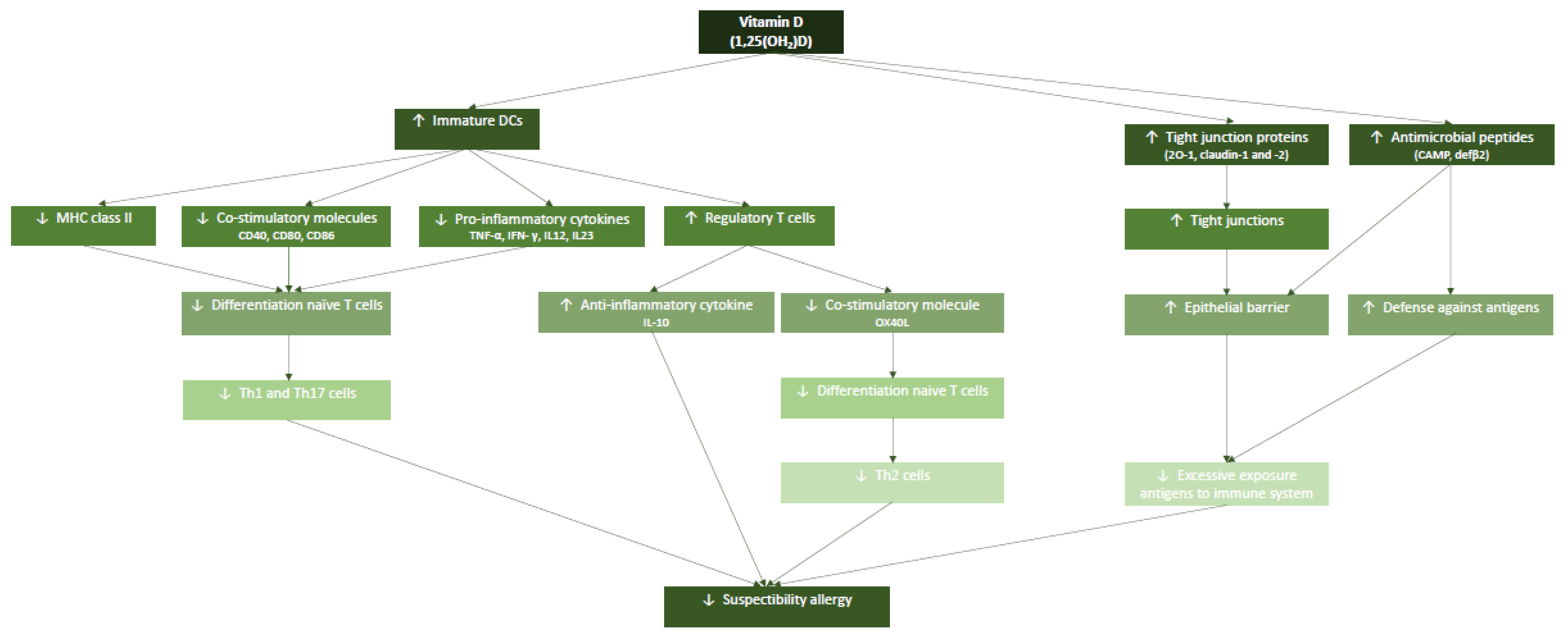 Nutrients 13 01015 g001