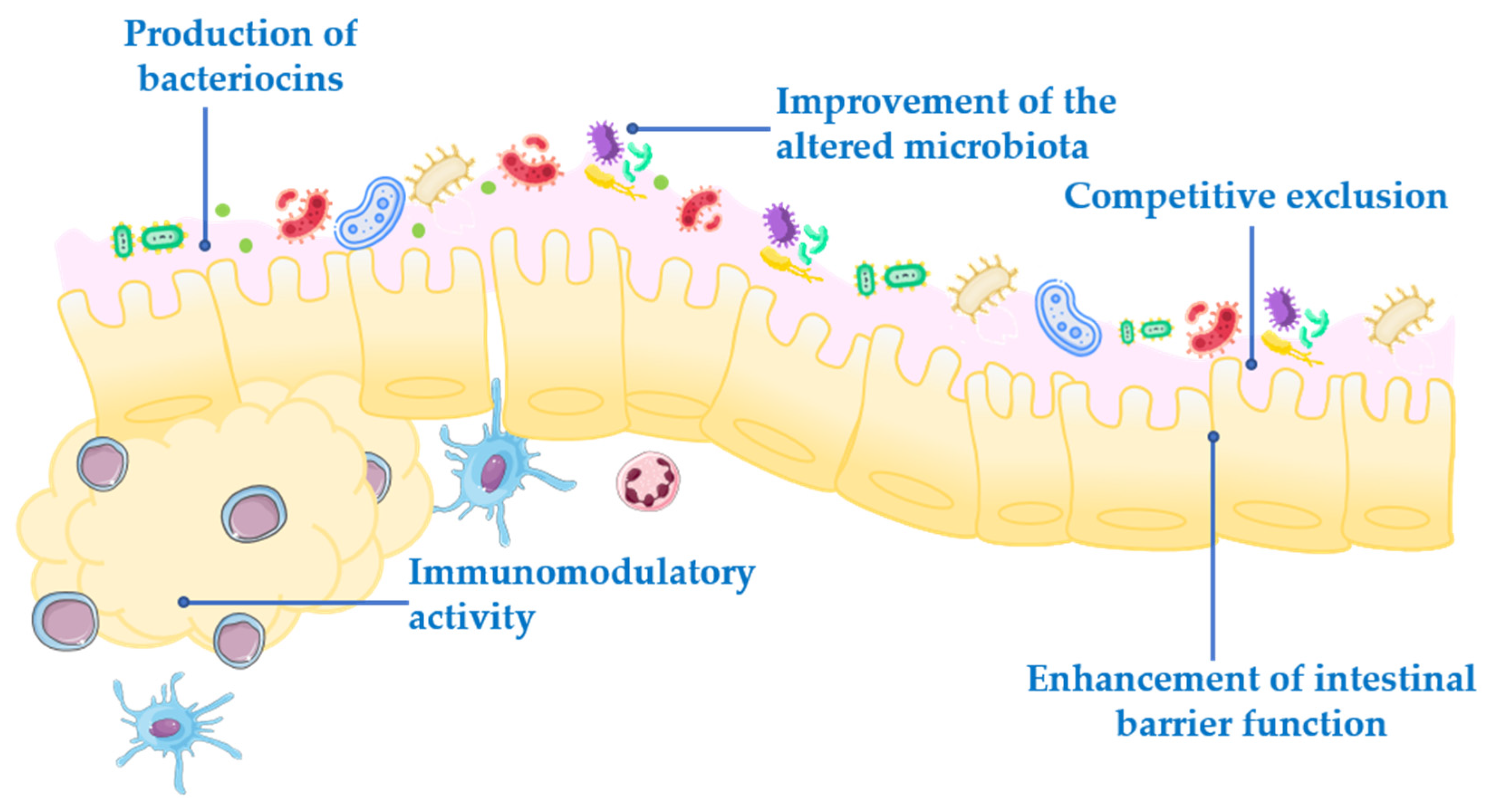 Nutrients 13 01016 g001