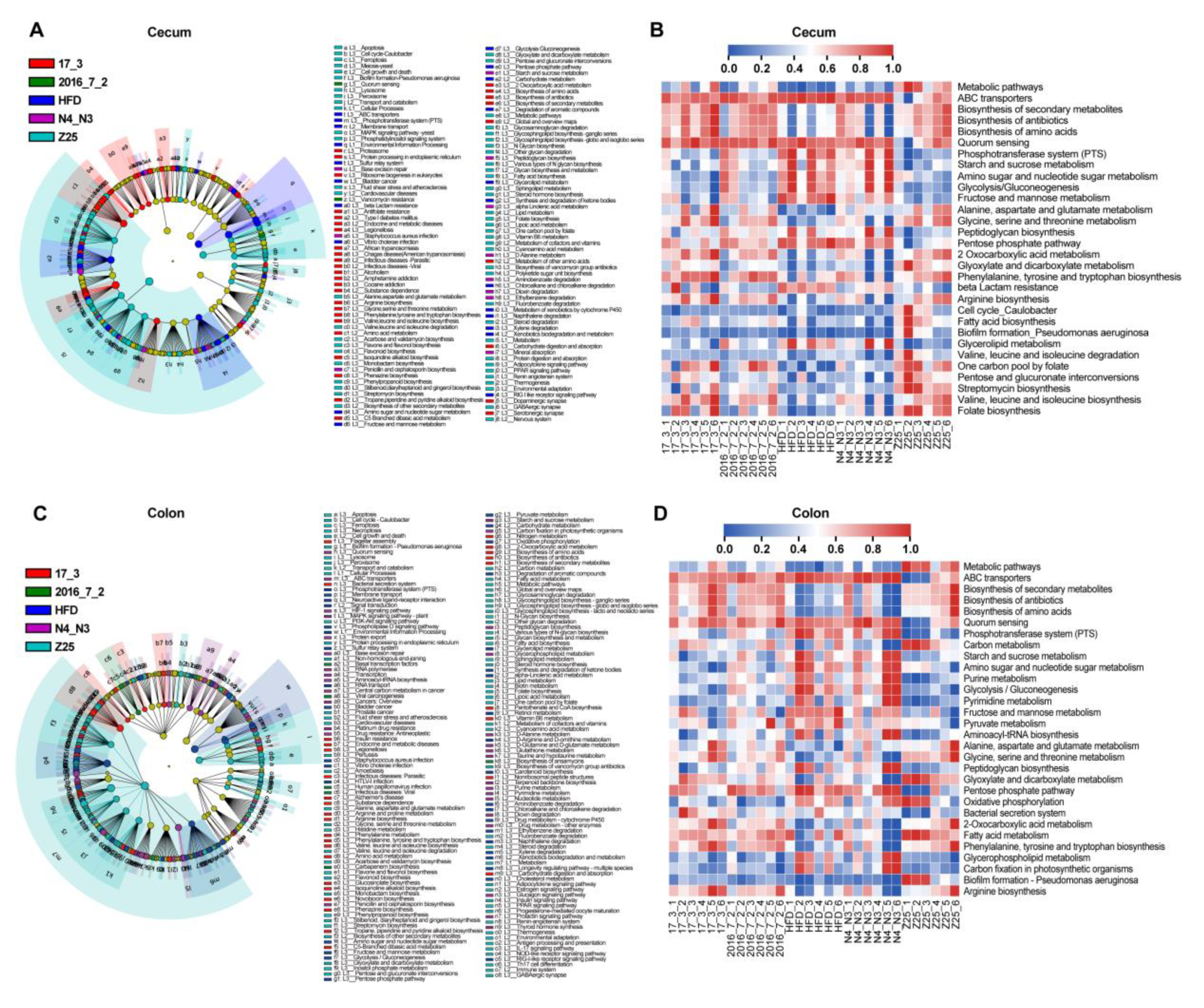 Nutrients 13 01017 g007