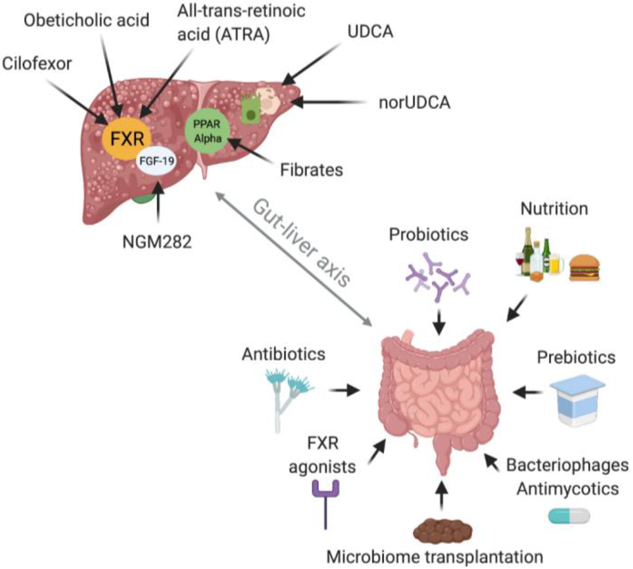 Nutrients 13 01018 g002