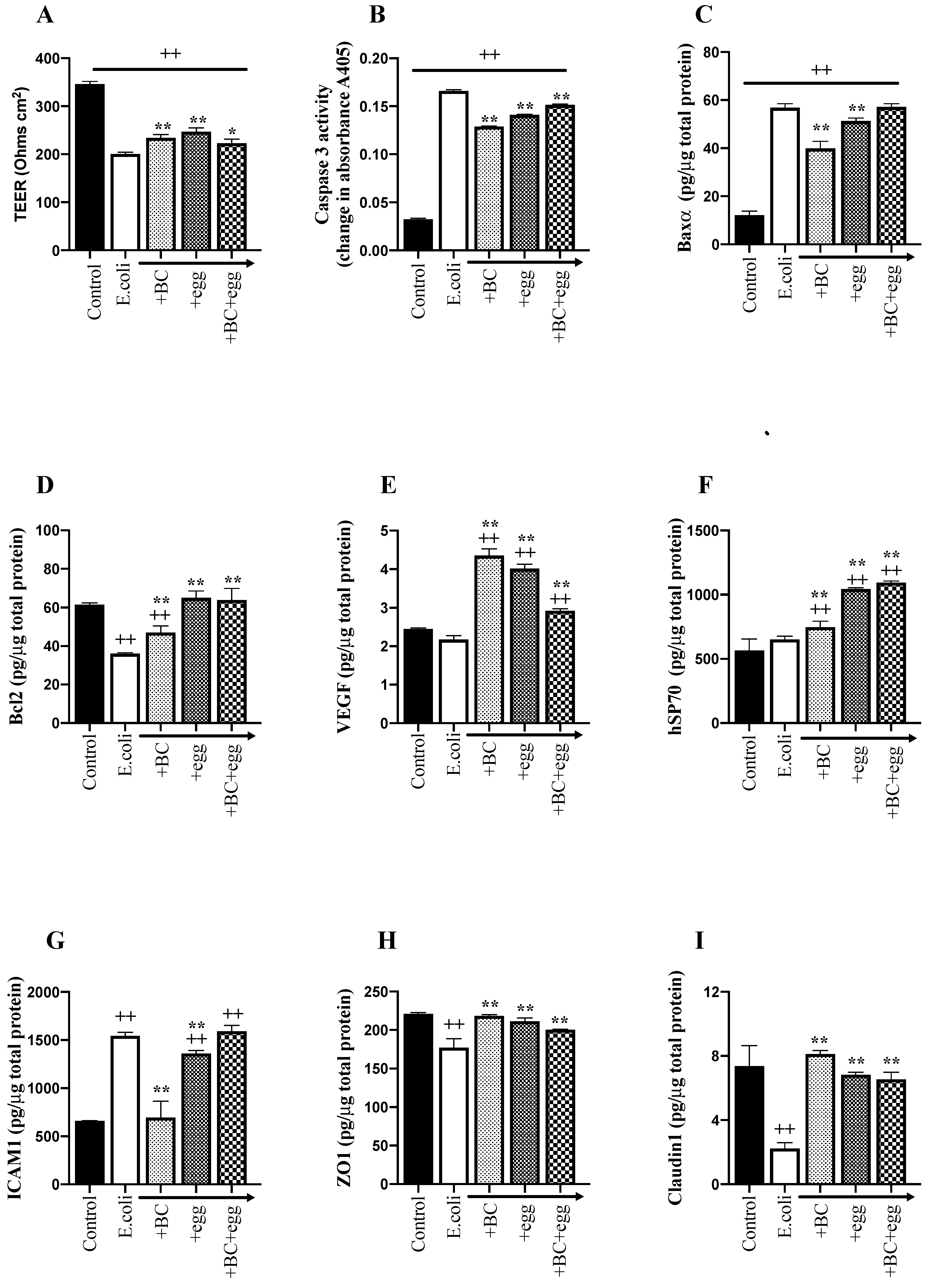 Nutrients 13 01024 g002