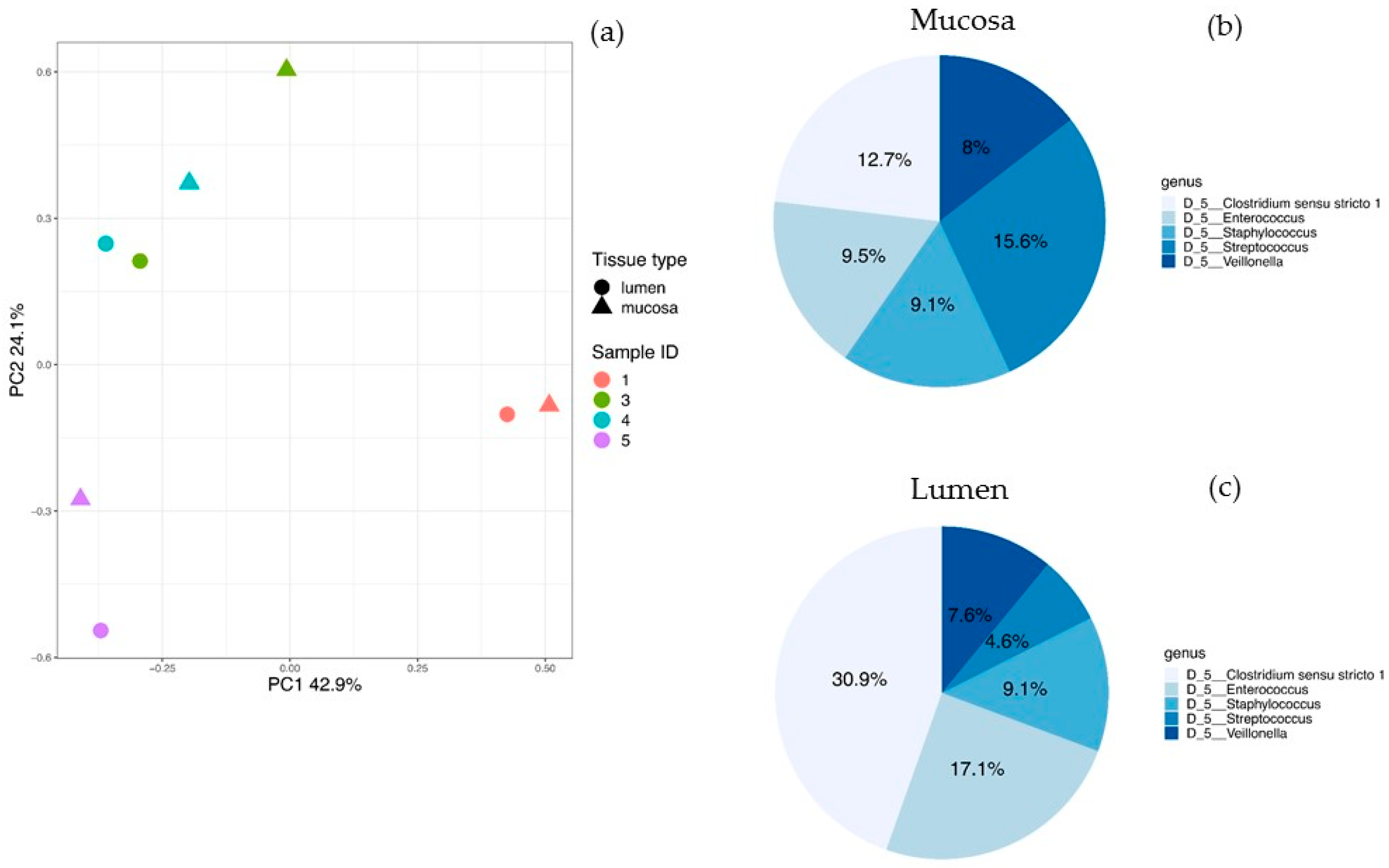 Nutrients 13 01030 g001 Nutrients 13 01030 g001