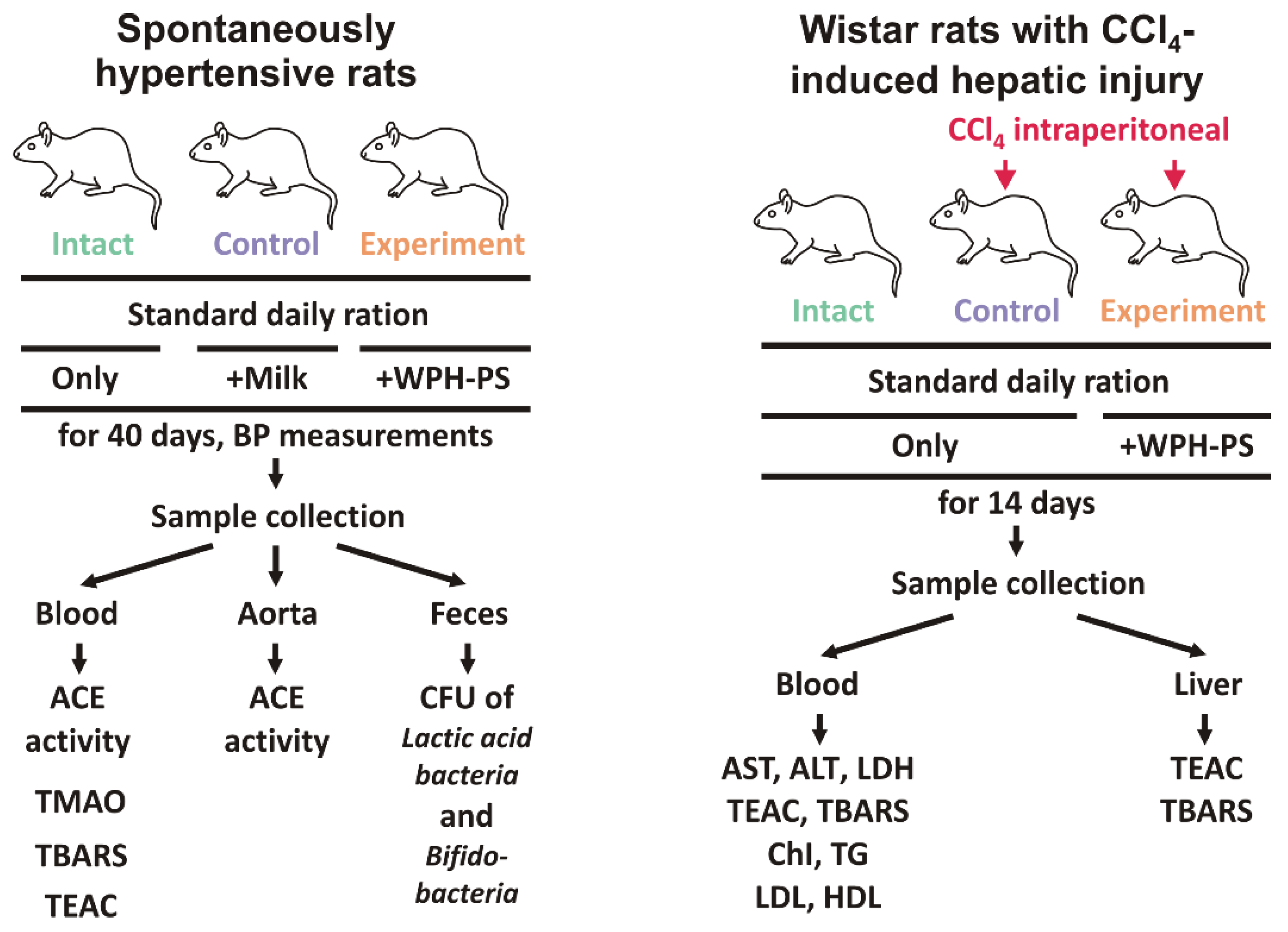 Nutrients 13 01031 g001 Nutrients 13 01031 g001