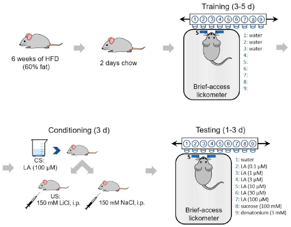 Nutrients 13 01045 g001