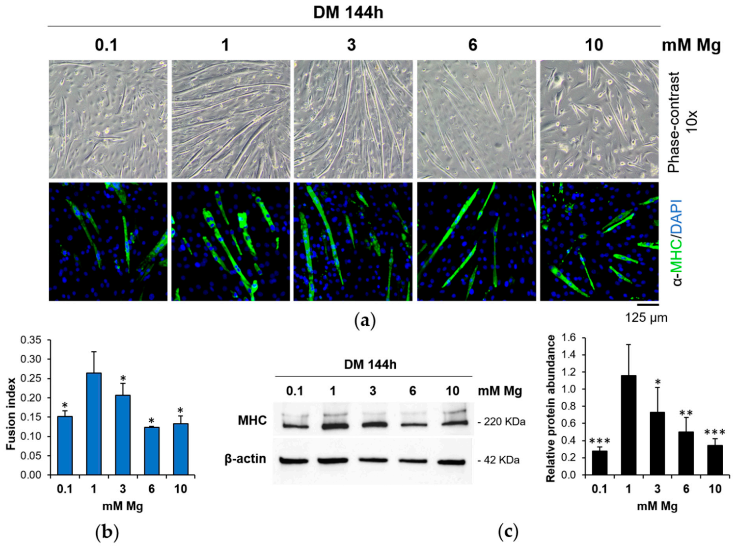Nutrients 13 01049 g001