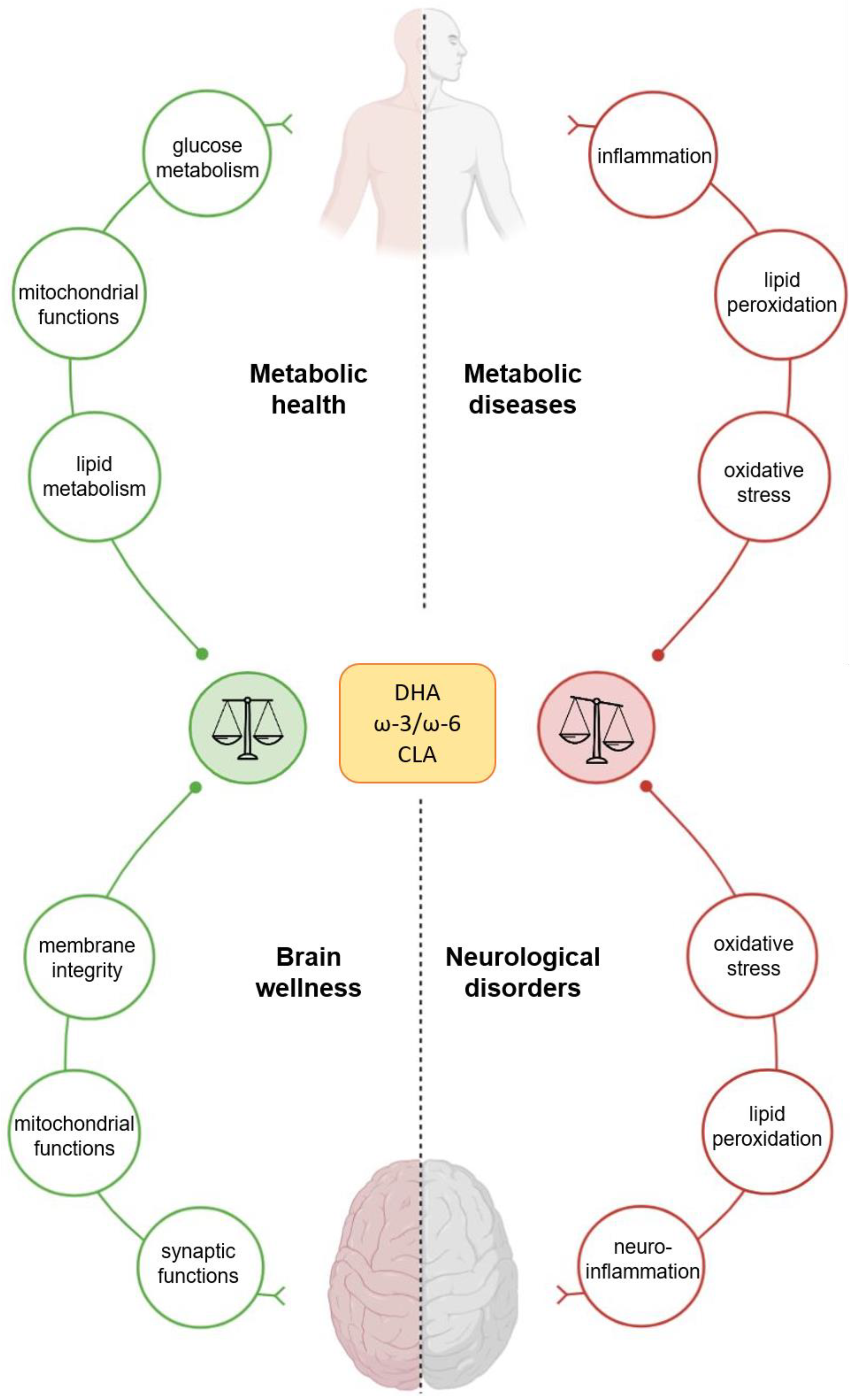 Nutrients 13 01111 g001