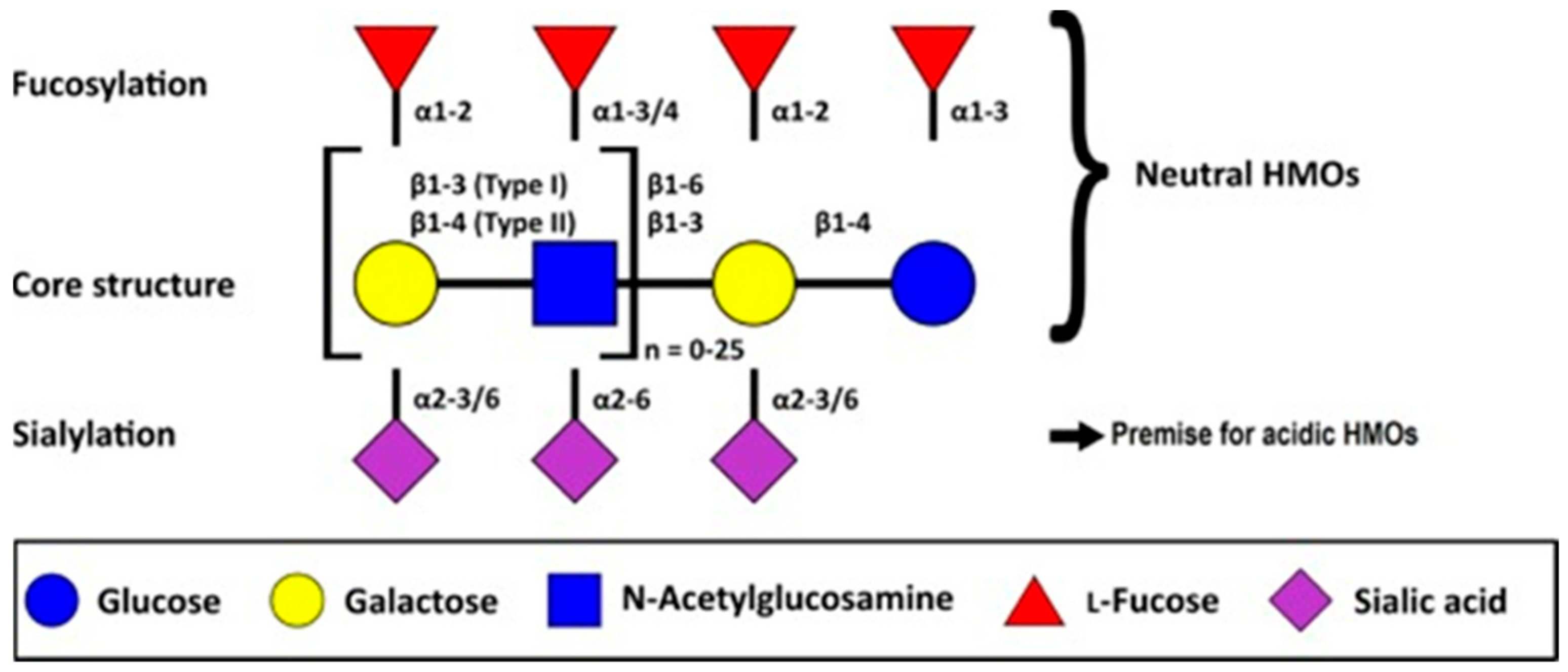 Nutrients 13 01123 g003 Nutrients 13 01123 g003