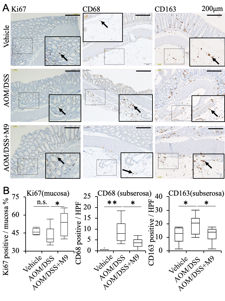 Nutrients 13 01143 g004