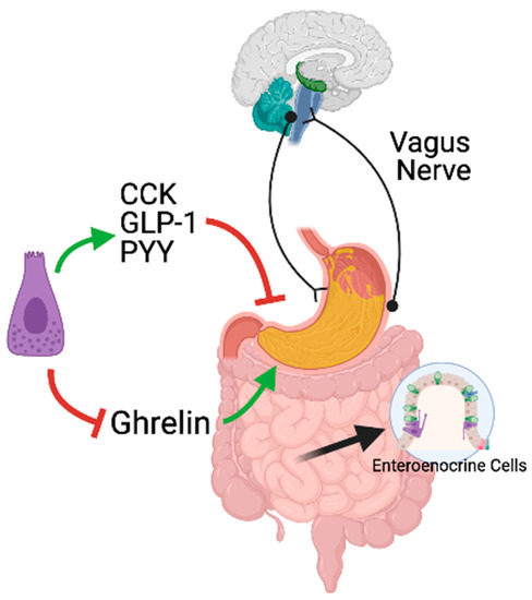 Nutrients 13 01158 g0a1