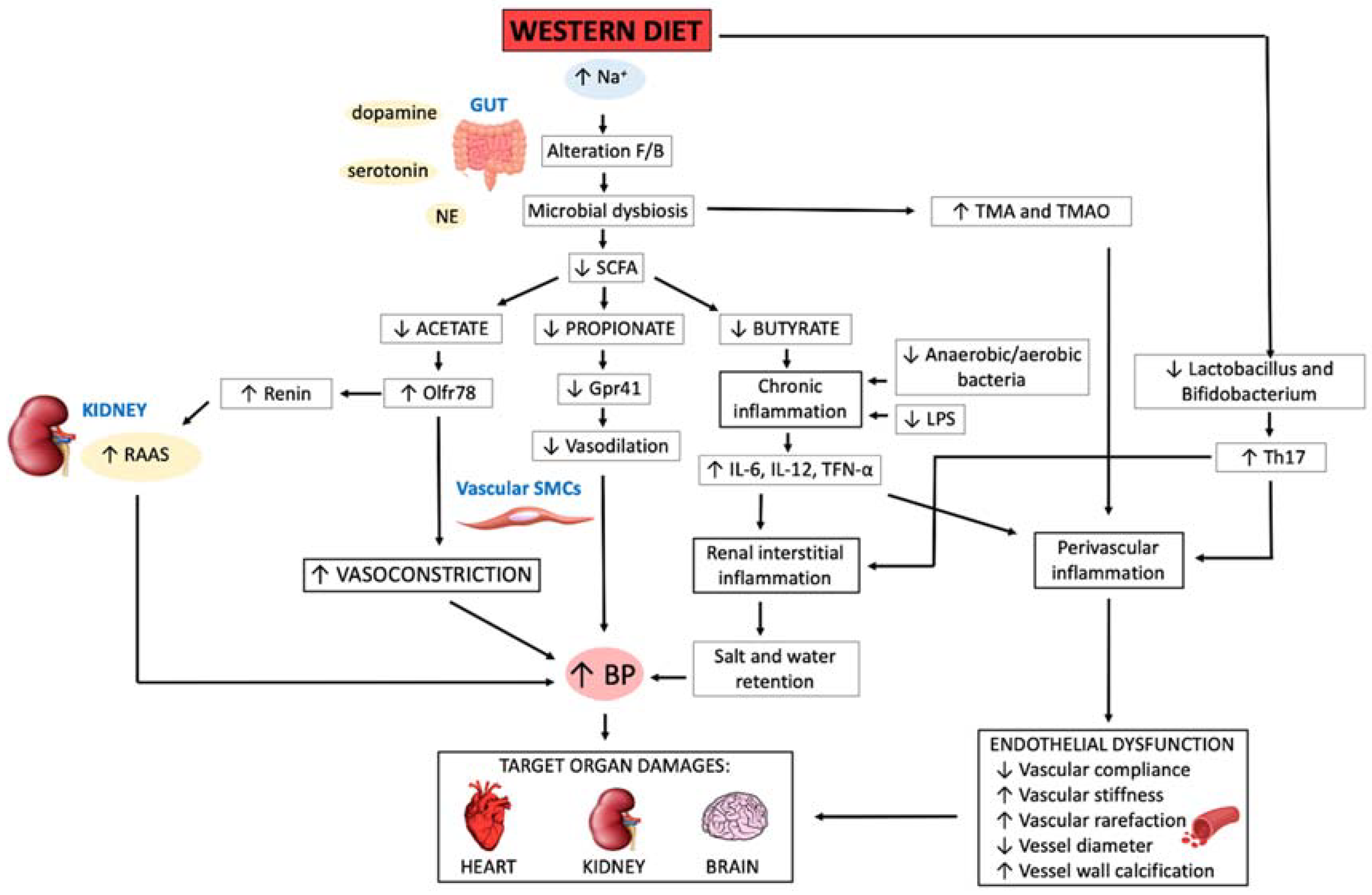 Nutrients 13 01162 g002 Nutrients 13 01162 g002