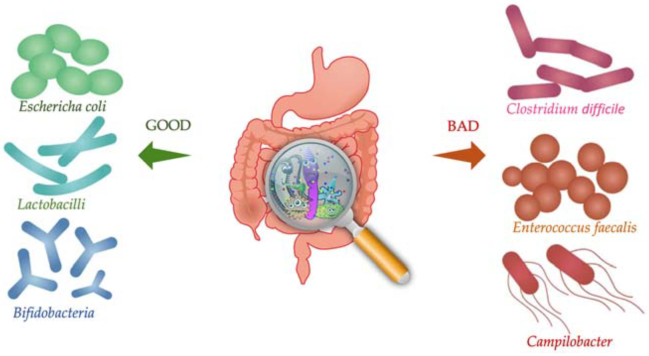 Nutrients 13 01162 g003 Nutrients 13 01162 g003