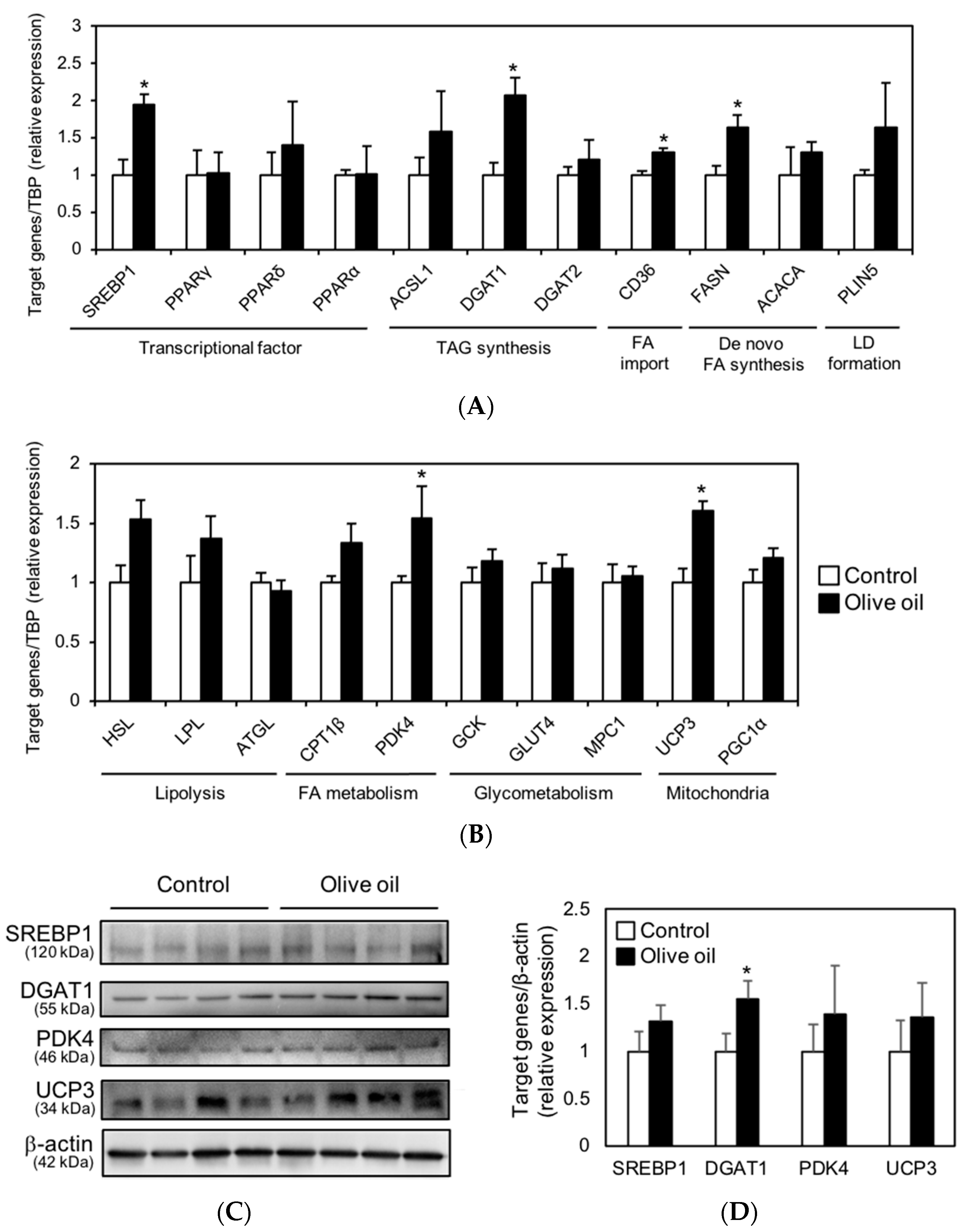 Nutrients 13 01164 g004