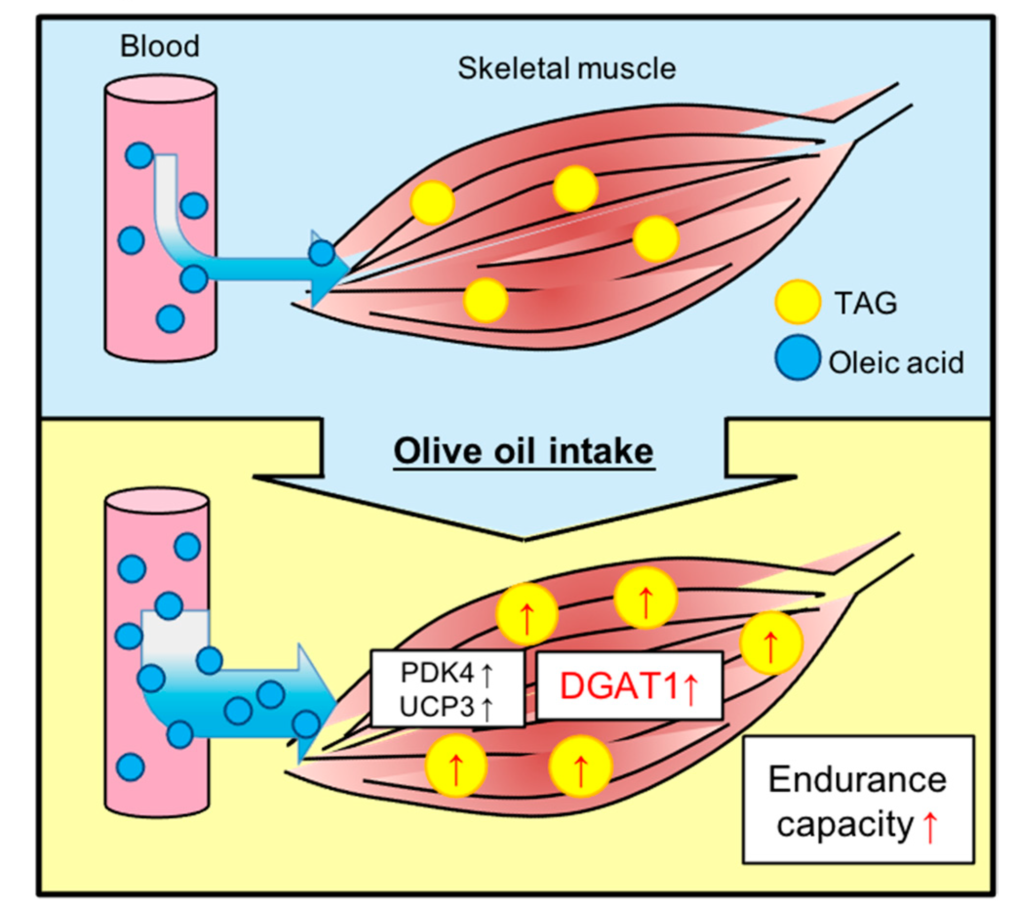 Nutrients 13 01164 g005