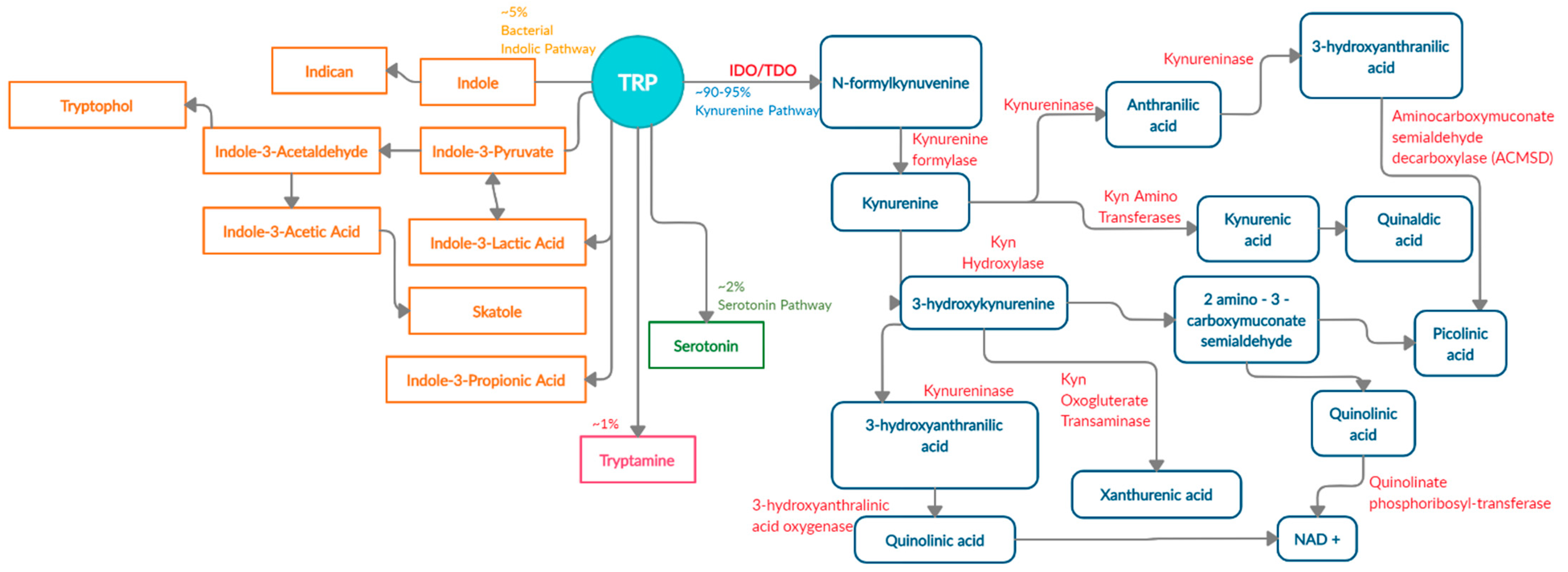 Nutrients 13 01189 g001